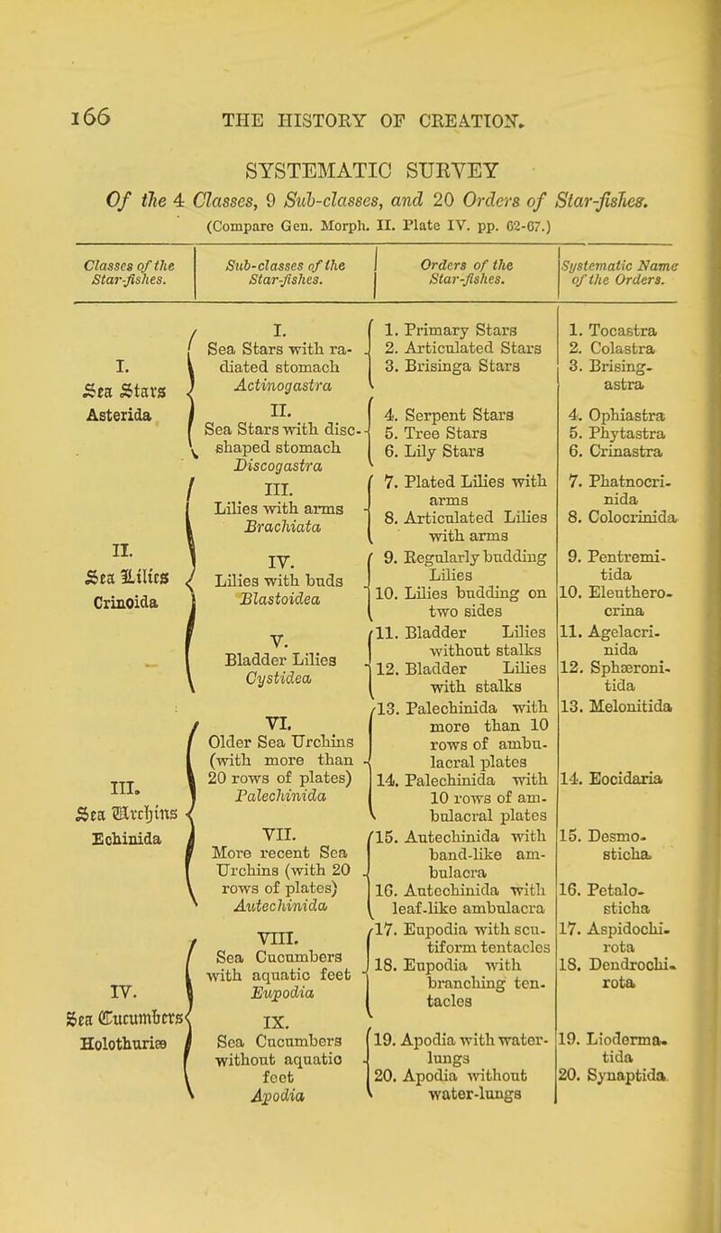 SYSTEMATIC SURVEY Of the 4 Classes, 9 Sub-classes, and 20 Orders of Star-fishes. (Compare Gen. Morph. II. Plate IV. pp. 02-07.) Classes of the Sub-classes of the 1 Orders of the Systematic Name Starfishes. Starfishes. Starfishes. of the Orders. Zca Stars Asterida II. Sea ILtltcs Crmoida III. Sea £1 vdjms Echinida IV. Sea (£ucutnlicrs( Holothuriss Sea Stars with ra- diated stomach Actinogastra II. Sea Stars with disc- shaped stomach Discogastra III. Lilies with arms Brachiata IV. Lilies with buds Blastoidea V. Bladder Lilies Cystidea VI. Older Sea Urchins (with more than 20 rows of plates) Palechinida VII. More recent Sea Urchins (with 20 rows of plates) Autechinida VIII. Sea Cucumbers with aquatic feet Eupodia IX. Sea Cucumbers without aquatic feet Apodia 1. Primary Stars 2. Articulated Stars 3. Brisinga Stars 4. Serpent Stars 5. Tree Stars 6. Lily Stars i ' 7. Plated Lilies with arms 8. Articulated Lilies k with arms ’ 9. Regularly budding Lilies 10. Lilies budding on two sides i Tl. Bladder Lilies without stalks 12. Bladder Lilies with stalks /13. Palechinida with more than 10 rows of ambu- lacral plates 14. Palechinida with 10 rows of am- k bulacral plates T5. Autechinida with band-like am- bulacra 16. Autechinida with leaf-like ambulacra rl7. Eupodia with scn- tiform tentacles 18. Eupodia with brandling ten- tacles ' 19. Apodia with water- lungs 20. Apodia without water-lungs 1. Tocastra 2. Colastra 3. Brising- astra 4. Ophiastra 5. Phytastra 6. Crinastra 7. Phatnocri- nida 8. Colocrinida 9. Pentremi- tida 10. Eleuthero- crina 11. Agelacri- nida 12. Sphoeroni- tida 13. Melonitida 14. Eocidaria 15. Desmo- sticha. 16. Petalo- sticha 17. Aspidoclii. rota 18. Dendrochi- rota 19. Lioderma. tida 20. Synaptida