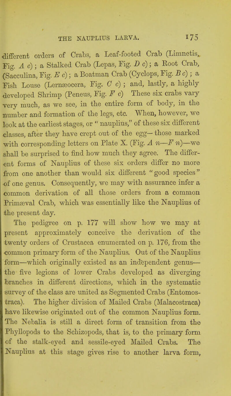 •different orders of Crabs, a Leaf-footed Ciab (Limnetis,. Fig. Ac); a Stalked Crab (Lepas, Fig. D c); a Foot Crab, (Sacculina, Fig. E c); a Boatman Crab (Cyclops, Fig. Be); a, Fish Louse (Lernseocera, Fig. C c) ; and, lastly, a highly developed Shrimp (Peneus, Fig. F c) These six crabs vary very much, as we see, in the entire form of body, in the number and formation of the legs, etc. When, however, we look at the earliest stages, or “ nauplius,” of these six different classes, after they have crept out of the egg— those marked with corresponding letters on Plate X. (Fig. A n—F n)—we shall be surprised to find how much they agree. The differ- ent forms of Nauplius of these six orders differ no more from one another than would six different “ good species ” ■of one genus. Consequently, we may with assurance infer a 1 common derivation of all those orders from a common ' Primaeval Crab, which was essentially like the Nauplius of the present day. The pedigree on p. 177 will show how we may at present approximately conceive the derivation of the I twenty orders of Crustacea enumerated on p. 176, from the I common primary form of the Nauplius. Out of the Nauplius I form—which originally existed as an independent genus— the five legions of lower Crabs developed as diverging I branches in different directions, which in the systematic I survey of the class are united as Segmented Crabs (Entomos- I traca). The higher division of Mailed Crabs (Malacostraca) I have likewise originated out of the common Nauplius form. I The Nebalia is still a direct form of transition from the I Phyllopods to the Schizopods, that is, to the primary form I of the stalk-eyed and sessile-eyed Mailed Crabs. The I Nauplius at this stage gives rise to another larva form,