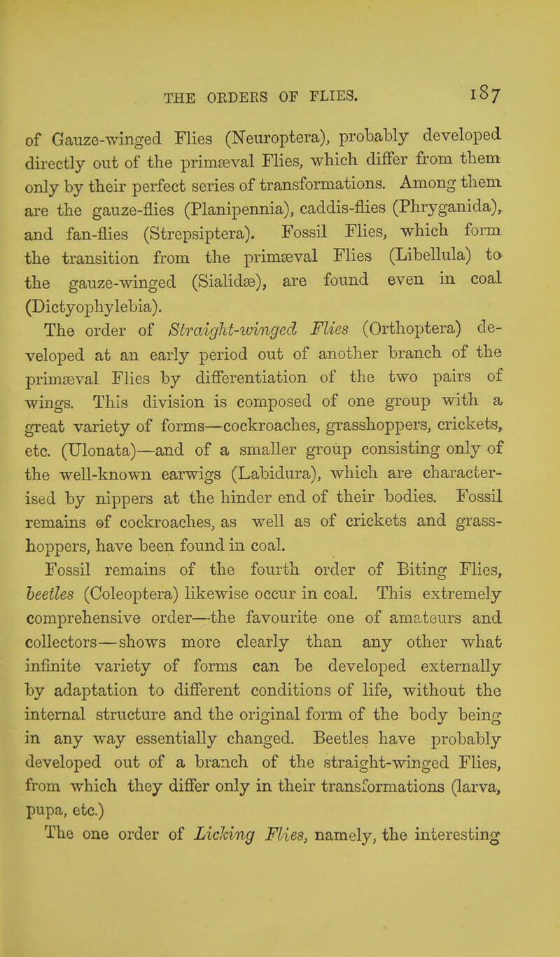 of Gauze-winged Flies (Neuroptera), probably developed directly out of the primaeval Flies, which differ from them only by their perfect series of transformations. Among them are the gauze-flies (Planipennia), caddis-flies (Phryganida),. and fan-flies (Strepsiptera). Fossil Flies, which form the transition from the primseval Flies (Libellula) to the gauze-winged (Sialidse), are found even in coal (Dictyophylebia). The order of Straight-winged Flies (Orthoptera) de- veloped at an early period out of another branch of the primaeval Flies by differentiation of the two pairs of wings. This division is composed of one group with a great variety of forms—cockroaches, grasshoppers, crickets, etc. (Ulonata)—and of a smaller group consisting only of the well-known earwigs (Labidura), which are character- ised by nippers at the hinder end of their bodies. Fossil remains of cockroaches, as well as of crickets and grass- hoppers, have been found in coal. Fossil remains of the fourth order of Biting Flies, beetles (Coleoptera) likewise occur in coal. This extremely comprehensive order—the favourite one of amateurs and collectors—shows more clearly than any other what infinite variety of forms can be developed externally by adaptation to different conditions of life, without the internal structure and the original form of the body being- in any way essentially changed. Beetles have probably developed out of a branch of the straight-winged Flies, from which they differ only in their transformations (larva, pupa, etc.) The one order of Licking Flies, namely, the interesting