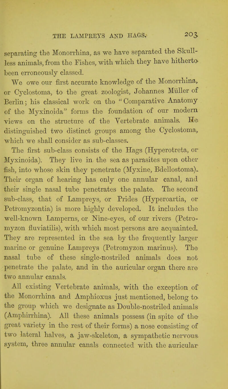 THE LAMPREYS AND HAGS.' 205 separating the Monorrhina, as we have separated the Skull- less animals, from the Fishes, with which they have hitherto- been erroneously classed. We owe our first accurate knowledge of the Monorrhina, or Cyclostoma, to the great zoologist, Johannes Müller of Berlin; his classical work on the “ Comparative Anatomy of the Myxinoida” forms the foundation of our modem views on the structure of the Vertebrate animals. He. distinguished two distinct groups among the Cyclostoma, which we shall consider as sub-classes. The first sub-class consists of the Hags (Hyperotreta, or Myxinoida). They live in the sea as parasites upon other fish, into whose skin they penetrate (Myxine, Bdellostoma). Their organ of hearing has only one annular canal, and their single nasal tube penetrates the palate. The second sub-class, that of Lampreys, or Prides (Hyperoartia, or Petromyzontia) is more highly developed. It includes the well-known Lampems, or Nine-eyes, of our rivers (Petro- myzon fluviatilis), with which most persons are acquainted. They are represented in the sea by the frequently larger marine or genuine Lampreys (Petromyzon marinus). The nasal tube of these single-nostrilecl animals does not penetrate the palate, and in the auricular organ there are two annular canals. All existing Vertebrate animals, with the exception of the Monorrhina and Amphioxus just mentioned, belong to the group which we designate as Double-nostriled animals (Amphirrhina). All these animals possess (in spite of the great variety in the rest of their forms) a nose consisting of two lateral halves, a jaw-skeleton, a sympathetic nervous system, three annular canals connected with the auricular