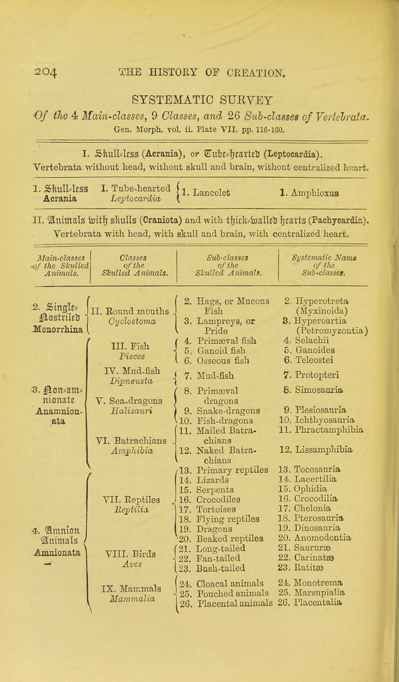 »SYSTEMATIC SURVEY Of the 4 Main-classes, 9 Classes, and 26 Sub-classes of Vertebrata. Gen. Morph, vol. ii. Plate VII. pp. 110-100. I. ÄkulRIeffS (Acrania), or STuIc4jcartc0 (Leptocardia). Vertebrata without head, without skull and brain, without centralized heart. 1. ÄftuIUm I. Tube-hearted ( L Lancelefc j. Amphioxus Acrania Leptocardia [ 1 II. Quintals Suit?! skulls (Craniota) and with tljirickjallcS Ijeavts (Pachycardia). Vertebrata with head, with skull and brain, with centralized heart. Main-classes Classes Sub-classes Systematic Mams of the Slculled of the of the of the Animals. Slculled Animals. Skulled Animals. Sub-classes. 2. Single* ilostrilcb Monorrhina ■3.4^on=am= nionatc Anamnion- ata II. Round mouths Cyclostoma III. Fish Pisces IV. Mud-fish Dipneusta V. Sea-dragons Halisauri VI. Batrachians Amphibia 4. Amnion Animals Ainnionata VII. Reptiles Beptilia VIII. Birds Ares IX. Mammals Mammalia 11. 12. Hags, or Mucous Fish Lampreys, or Pride Primaeval fish Ganoid fish Osseous fish Mud-fish Primaeval dragons Snake-dragons Fish-dragons Mailed Batra- chians Naked Batra- chians Primary reptiles Lizards Serpents Crocodiles Tortoises Flying reptiles Dragons Beaked reptiles Long-tailed Fan-tailed Bush-tailed Cloacal animals Pouched animals Placental animals 2. Hyperotreta (Myxinoida) 3. Hyperoartia (Petromyzontia ) 4. Selachii 5. Ganoides 6. Teleostei 7. Protopteri 8. Simosauria 9. Plesiosanria 10. Ichtbyosanria 11. Phractamphibia 12. Lissamphibia 13. Tocosauria 14. Lacertilia 15. Ophidia 1G. Crocodilia 17. Chelonia 18. Pterosauria 19. Dinosanria 20. Anomodontia 21. Saururaa 22. Carinata3 23. Ratitao 24. Monotrema 25. Mar8upialia 26. Placentalia