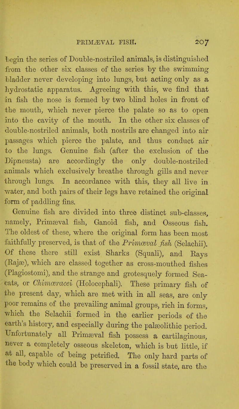 begin the series of Double-nostriled animals, is distinguished from the other six classes of the series by the swimming bladder never developing into lungs, but acting only as a hydrostatic apparatus. Agreeing with this, we find that in fish the nose is formed by two blind holes in front of the mouth, which never pierce the palate so as to open into the cavity of the mouth. In the other six classes of double-nostriled animals, both nostrils are changed into air passages which pierce the palate, and thus conduct air to the lungs. Genuine fish (after the exclusion of the Dipneusta) are accordingly the only double-nostriled animals which exclusively breathe through gills and never through lungs. In accordance with this, they all live in water, and both pairs of their legs have retained the original form of paddling fins. Genuine fish are divided into three distinct sub-classes, namely, Primaeval fish, Ganoid fish, and Osseous fish. The oldest of these, where the original form has been most faithfully preserved, is that of the Primaeval fish (Selachii). Of these there still exist Sharks (Squali), and Rays (Raj«3), which are classed together as cross-mouthed fishes (Plagiostomi), and the strange and grotesquely formed Sea- cats, or Chimceracei (Holocephali). These primary fish of the present day, which are met with in all seas, are only poor remains of the prevailing animal groups, rich in forms, which the Selachii formed in the earlier periods of the earth s history, and especially during the palaeolithic period. Unfoitunately all Primaeval fish possess a cartilaginous, never a completely osseous skeleton, which is but little, if at all, capable of being petrified. The only hard parts of the body which could be preserved in a fossil state, are the