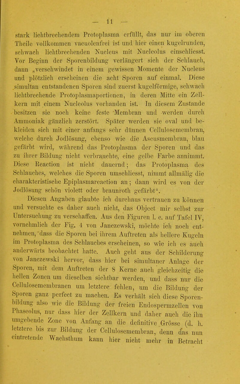 stark liclitbrecliendem Protoplfisma erfüllt, das nur im oberen Theile vollkommen vaciioleufrei ist und liier einen kugelrunden, scliwacli liclitbreclienden Nucleus mit Nucleolus einschliesst. Vor Beginn der Sporenbildung- verlängert sicli der Schlauch, dann „verschwindet in einem gewissen Momente der Nucleus und plötzlich erscheinen die acht Sporen auf einmal. Diese simultan entstandenen Sporen sind zuerst kugelförmige, schwach lichtbrechende Protoplasmaportionen, in deren Mitte ein Zell- kern mit einem Nucleolus vorhanden ist. In diesem Zustande besitzen sie noch keine feste Membran und werden durch Ammoniak gänzlich zerstört. Später werden sie oval und be- kleiden sich mit einer anfangs sehr dünnen Cellulosemembran, welche durch Jodlösung, ebenso wie die Ascusmembran, blau gefärbt wird, während das Protoplasma der Si)oren und das zu ihrer Bildung nicht verbrauchte, eine gelbe Farbe annimmt. Diese Reaction ist nicht dauernd; das Protoplasma des Schlauches, welches die Sporen umschliesst, nimmt allmälig die charakteristische Epiplasmareaction an; dann wird es von der Jodlösung schön violett oder braunroth gefärbt. Diesen Angaben glaubte ich durchaus vertrauen zu können und versuchte es daher auch nicht, das Object mir selbst zur Untersuchung zu verschaffen. Aus den Figuren 1. c. auf Tafel IV, vornehmlich der Fig. 4 von Janczewski, möchte ich noch ent- nehmen, dass die Sporen bei ihrem Auftreten als hellere Kugeln im Protoplasma des Schlauches erscheinen, so wie ich es auch anderwärts beobachtet hatte. Auch geht aus der Schilderung von Janczewski hervor, dass hier bei simultaner Anlage der Sporen, mit dem Auftreten der 8 Kerne auch g-leiehzeitig die hellen Zonen um dieselben sichtbar werden, und dass nur die Cellulosemembranen um letztere fehlen, um die Bildung der Sporen ganz perfect zu machen. Es verhält sich diese Sporen- bildung also wie die Bildung der freien Endospermzellen von Phaseolus, nur dass hier der Zellkern und daher auch die ihn umgebende Zone von Anfang an die definitive Grösse (d. Ii letztere bis zur Bildung der Cellulosemembran, denn das nun eintretende Wachstlium kann hier nicht mehr in Betracht