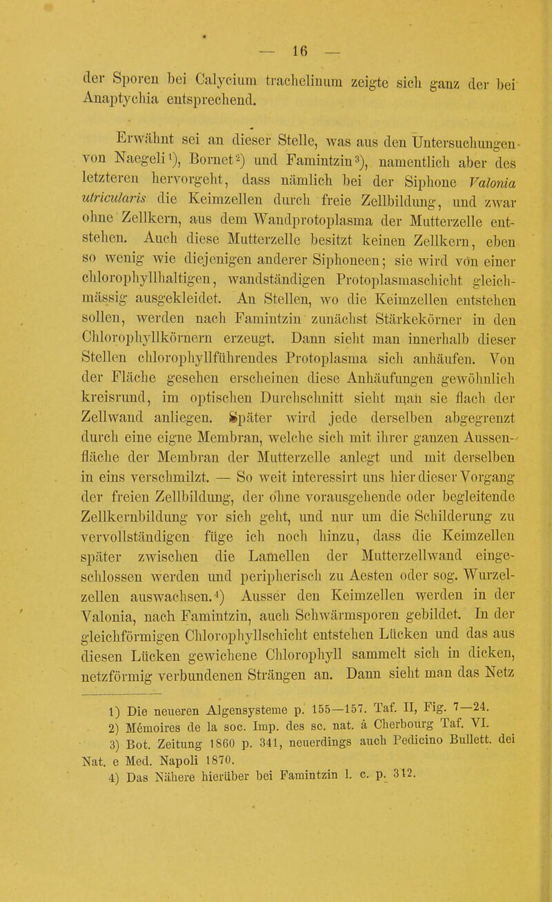 der Sporen bei Calyeiiim traolieliniim zeigte sich ganz der bei Anaptycliia entsprechend. Erwähnt sei an dieser Stelle, was aus den Untersuchungen- von Naegelii), Bornet'i) und Famintzin»), namentlich aber des letzteren hervorgeht, dass nämlich bei der Siphone Valonia ulricularis die Keimzellen durch freie Zellbildung, und zwar ohne Zellkern, aus dem Wandprotoplasma der Mutterzelle ent- stehen. Auch diese Mutterzelle besitzt keinen Zellkern, eben so wenig wie diejenigen anderer Siphoneen; sie wird von einer chlorophyllhaltigen, wandständigen Protoplasmaschicht gleich- mäfeisig ausgekleidet. Au Stellen, wo die Keimzellen entstehen sollen, werden nach Famintzin zunächst Stärkekörner in den Chlorophyllkörnern erzeugt. Dann sielit man innerhalb dieser Stellen chlorophyllfiihrendes Protoplasma sich anhäufen. Von der Fläche gesehen erscheinen diese Anhäufungen gewöhnlich kreisrund, im optischen Durchschnitt sieht n^aii sie flach der Zell wand anliegen. Später wird jede derselben abgegrenzt durch eine eigne Membran, welche sich mit ihrer ganzen Aussen- fläche der Membran der Mutterzelle anlegt und mit derselben in eins verschmilzt. — So weit interessirt uns hier dieser Vorgang der freien Zellbildung, der ohne vorausgehende oder begleitende Zellkernbildung vor sich geht, und nur um die Schilderung zu vervollständigen füge ich nocli hinzu, dass die Keimzellen später zwischen die Lamellen der Mutterzellwand einge- schlossen werden und peripherisch zu Aesten oder sog. Wurzel- zellen auswachsen.'i) Ausser den Keimzellen werden in der Valonia, nach Famintzin, auch Schwärmsporen gebildet. In der gleichförmigen Chlorophyllschicht entstehen Lücken und das aus diesen Lücken gewichene Chlorophyll sammelt sich in dicken, netzförmig verbundenen Strängen an. Dann sieht ma.n das Netz 1) Die neueren Algensysteme p. 155—157. Taf. II, Fig. 7—24. 2) Memoires de la soc. Imp. des sc. nat. 4 Cherbourg Taf. VI. 3) Bot. Zeitung 1860 p. 341, neuerdings auch Pedicino BuUett. dei Nat. e Med. Napoli 1870. 4) Das Nähere hierüber bei Famintzin 1. c. p. 312.