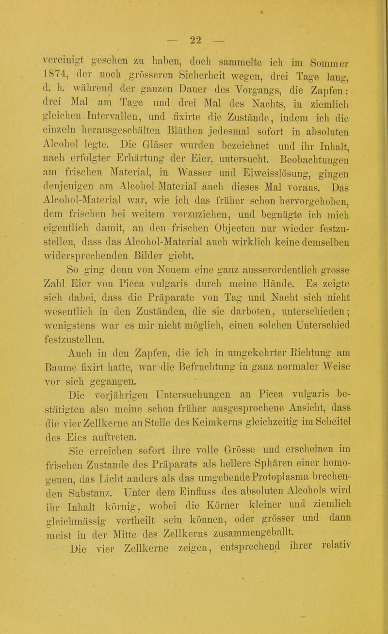 verciuig't gesehen zu liaben, tlocli sammelte icli im Sommer 1874, der nocli grösseren Sicherheit wegen, drei Tage lang, d. Ii. wälirend der ganzen Dauer des Vorgangs, die Zapfen: drei Mal am Tage und drei Mal des Nachts, in ziemlich gleichen.Intervallen, und fixirte die Zustände, indem ich die einzeln herausgeschälten Bliithen jedesmal sofort in absoluten Alcohol legte. Die Gläser wurden bezeichnet und ihr Inlialt, nach erfolgter Erhärtung der Eier, untersucht. Beobachtungen am frischen Material, in Wasser und EiAveisslösung, gingen denjenigen am Alcohol-Material auch dieses Mal voraus. Das Alcohol-Material Avar, wie ich das früher schon hervorgehoben, dem frischen bei weitem vorzuziehen, und begnügte ich mich eigentlich damit, an den frischen Objecten nur wieder festzu- stellen, dass das Alcohol-Material auch wirklich keine demselben widersprechenden Bilder giebt. So ging denn von Neuem eine ganz ausserordentlich grosse Zahl Eier von Picea vulgaris durch meine Hände. Es zeigte sich dabei, dass die Präparate von Tag und Nacht sich nicht wesentlich in den Zuständen, die sie darboten, unterschieden; wenigstens war es mir nicht möglich, einen solchen Unterschied festzustellen. Auch in den Zapfen, die icli in umgekelirter Eichtung am Baume fixirt hatte, war die Befruclitung in ganz normaler Weise vor sich gegangen. Die vorjährigen Untersuchungen an Picea vulgaris be- stätigten also meine schon früher ausgesprochene Ansicht, dass die vier Zellkerne an Stelle des Keimkerns gleichzeitig im Scheitel des Eies auftreten. Sie erreichen sofort ihre volle Grösse und ersclieinen im frischen Zustande des Präparats als hellere Sphären einer homo- genen, das Licht anders als das umgebende Protoplasma brechen- den Substanz. Unter dem Einfluss des absoluten Alcohols wird ihr Inhalt körnig, wobei die Körner kleiner und ziemlich gleichmässig vertheilt sein können, oder grösser und dann meist in der Mitte des Zellkerns zusammengeballt. Die vier Zellkerne zeigen, entsprechend ihrer relativ