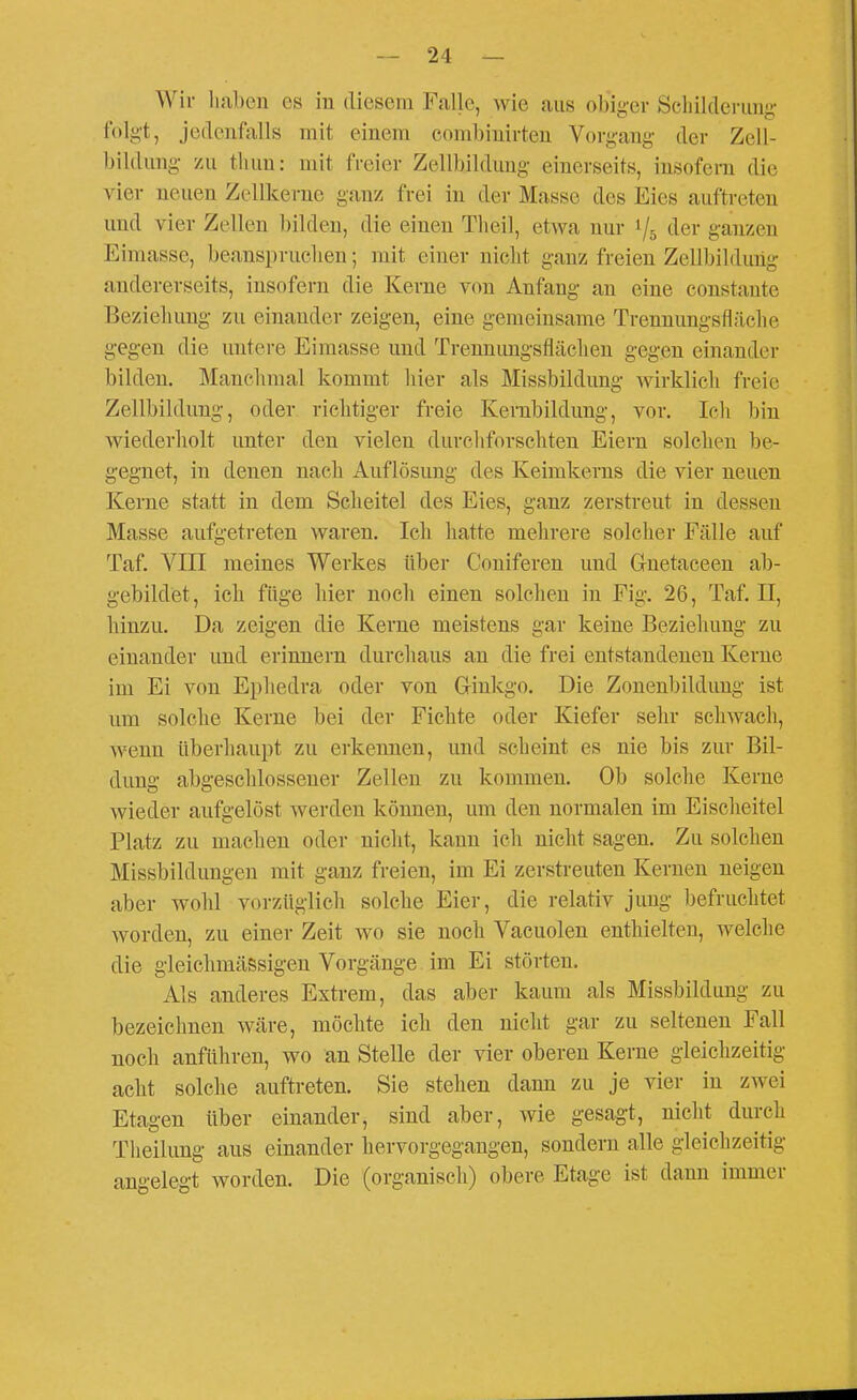 Wir liaben es in diesem Falle, wie aus obig-er Schilderung- folg't, jedenfalls mit einem combinirten Vorgang der Zell- bildung zu tlum: mit freier Zellbildung einerseits, insofern die vier neuen Zellkerne ganz frei in der Masse des Eies auftreten und vier Zellen bilden, die einen Theil, etwa nur 1/5 der ganzen Einlasse, beanspruchen; mit einer nicht ganz freien Zellbildung andererseits, insofern die Kerne von Anfang au eine constante Beziehung zu einander zeigen, eine gemeinsame Trennungsfläche gegen die untere Eimasse und Trennungsflächen gegen einander bilden. Manchmal kommt hier als Missbildung wirklich freie Zellbildung, oder richtiger freie Kenibildung, vor. Ich bin wiederholt unter den vielen durchforschten Eiern solchen be- gegnet, in denen nach Auflösung des Keimkerns die vier neuen Kerne statt in dem Scheitel des Eies, ganz zerstreut in dessen Masse aufgetreten waren. Ich hatte mehrere solcher Fälle auf Taf. VIII meines Werkes über Couifereu und Gnetaceen ab- gebildet, ich füge hier noch einen solchen in Fig. 26, Taf. II, hinzu. Da zeigen die Kerne meistens gar keine Beziehung zu einander und erinnern durchaus an die frei entstandenen Kerne im Ei von Ephedra oder von Ginkgo. Die Zonenbildung ist um solche Kerne bei der Fichte oder Kiefer sehr schwach, wenn überhaupt zu erkennen, und scheint es nie bis zur Bil- dung abgeschlossener Zellen zu kommen. Ob solche Kerne wieder aufgelöst werden können, um den normalen im Eischeitel Platz zu machen oder nicht, kann ich nicht sagen. Zu solclien Missbildungen mit ganz freien, im Ei zerstreuten Kernen neigen aber wohl vorzüglich solche Eier, die relativ jung befruchtet worden, zu einer Zeit wo sie noch Vacuolen enthielten, welche die gleichmässigen Vorgänge im Ei störten. Als anderes Extrem, das aber kaum als Missbildung zu bezeichnen wäre, möchte ich den nicht gar zu seltenen Fall noch anführen, wo an Stelle der vier oberen Kerne gleichzeitig acht solche auftreten. Sie stehen dann zu je vier in zwei Etagen über einander, sind aber, wie gesagt, nicht durch Theilung aus einander hervorgegangen, sondern alle gleichzeitig angelegt worden. Die (organisch) obere Etage ist dann immer