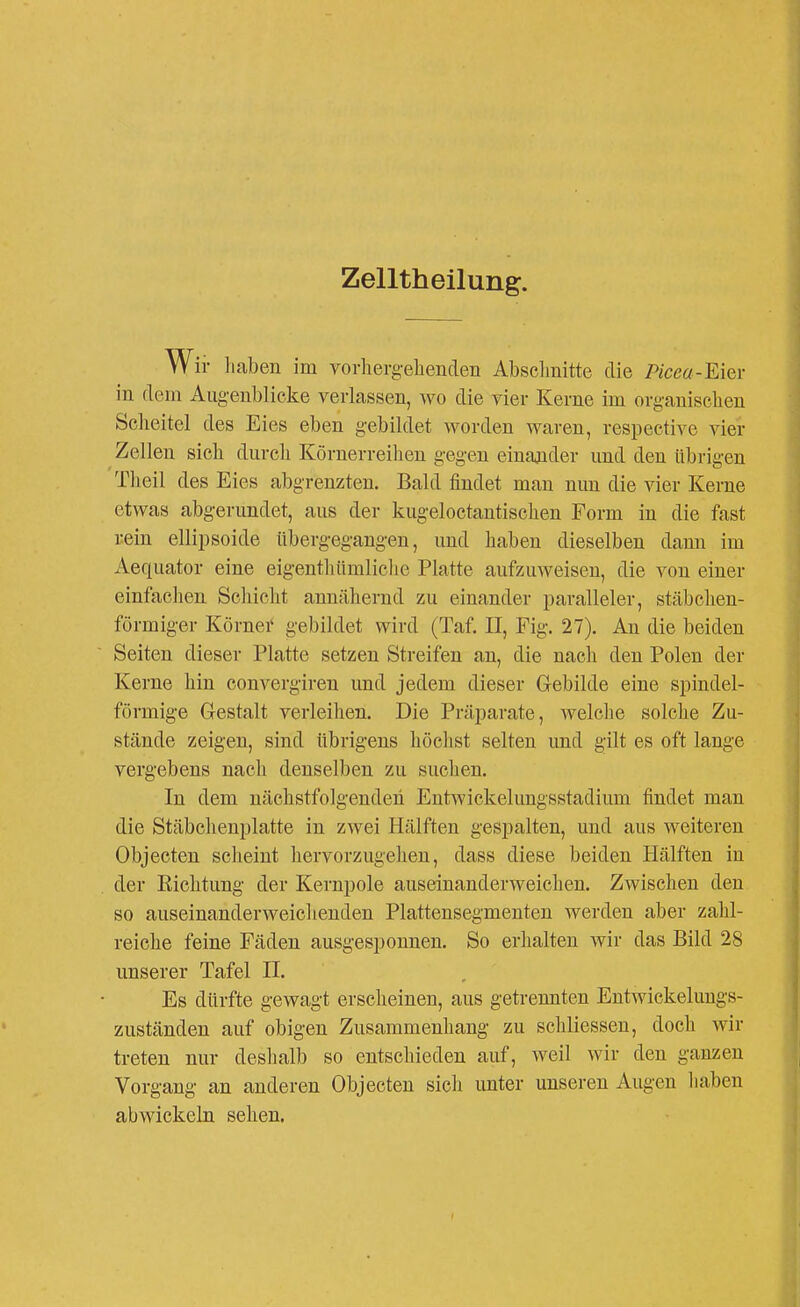 Zelltheilung. W ir liaben im vorhergehenden Absclmitte die Picea-Eier in dem Augenblicke verlassen, wo die vier Kerne im organischen Scheitel des Eies eben gebildet worden waren, respective vier Zellen sich durch Körnerreiheu gegen einander und den übrigen Theil des Eies abgrenzten. Bald findet man nun die vier Kerne etwas abgerundet, aus der kugeloctantischen Form in die fast Kein ellipsoide übergegangen, und haben dieselben dann im Aequator eine eigenthümliclie Platte aufzuweisen, die von einer einfachen Schicht annähernd zu einander paralleler, stäbchen- förmiger Körnei' gel)ildet wird (Taf. II, Fig. 27). An die beiden Seiten dieser Platte setzen Streifen an, die nach den Polen der Kerne hin convergiren und jedem dieser Gebilde eine spindel- förmige G-estalt verleihen. Die Präparate, welche solche Zu- stände zeigen, sind übrigens höchst selten und gilt es oft lange vergebens nach denselben zu suchen. In dem nächstfolgenden Entwickelungsstadium findet man die Stäbchenplatte in zwei Hälften gespalten, und aus weiteren Objecten scheint hervorzugehen, dass diese beiden Hälften in der Richtung der Kernpole auseinanderweichen. Zwischen den so auseinander weich enden Plattensegmenten werden aber zahl- reiche feine Fäden ausgesponnen. So erhalten wir das Bild 28 unserer Tafel II. Es dürfte gewagt erscheinen, aus getrennten Entwickelungs- zuständen auf obigen Zusammenhang zu schliessen, doch wir treten nur deshalb so entschieden auf, weil wir den ganzen Vorgang an anderen Objecten sich unter unseren Augen liaben abwickeln sehen.