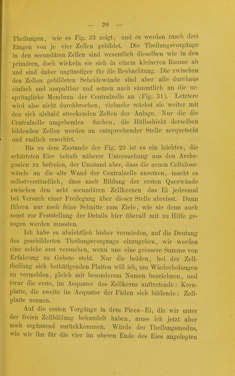 Tlicilimgen, wie es Fig-, 33 zeigt, und es werden rascli drei Etagen von je vier Zellen gebildet. Die Tlieilimgsvorgäuge in den secundären Zellen sind wesentlicli dieselben wie in den primären, doeh wickeln sie sich in einem kleineren Eaume ab und sind daher ungünstiger ftir die Beobaclitung. Die zwischen den Zollen gebildeten Scheidewände sind aber alle durchaus einfach und unspaltbar und setzen auch sämmtlich an die ur- sprüngliche Membran der Centraizelle an (Fig. 31). Letztere wird also nicht durchbrochen, vielmehr wächst sie weiter mit den sich alsbald streckenden Zellen der Anlage. Nur die die Centralzelle umgebenden flacheu, die Ilüllschicht derselben bildenden Zellen werden an entsprechender Stelle zerquetscht und endlich resorbirt. Bis zu dem Zustande der Fig. 29 ist es ein leichtes, die erlnirteten Eier behufs nälierer Untersuchung aus den Arche- gonien zu befreien, der Umstand aber, dass die neuen Cellulose- wände an die alte Wand der Centralzelle ansetzen, macht es selbstverständlich, dass nach Bildung der ersten Querwände zwischen den acht secundären Zellkernen das Ei jedesmal bei Versuch einer Freilegung über dieser Stelle abreisst. Dann führen nur noch feine Schnitte zum Ziele, wie sie denn auch sonst zur Feststellung der Details hier überall mit zu Hilfe ge- zogen werden mussten. Ich habe es absichtlich bisher vermieden, auf die Deutung des geschilderten Theilimgsvorgangs einzugehen, wir werden eine solche erst versuchen, wenn uns eine grössere Summe von Erfahrung zu Gebote steht. Nur die beiden, bei der Zell- theilung sich bethätigenden Platten will ich, um Wiederholungen zu vermeiden, gleich mit besonderem Namen bezeichnen, imd zwar die erste, im Aequator des Zellkerns aufti-etende: Kern- platte, die zweite im Aequator der Fäden sich bildende: Zell- platte nennen. Auf die ersten Vorgänge in dem Picea-Ei, die wir unter der freien Zellbildung behandelt haben, muss ich jetzt aber noch ergänzend zurückkommen. Würde der Theilungsmodus, wie wir ihn für die vier im oberen Ende des Eies angelegten