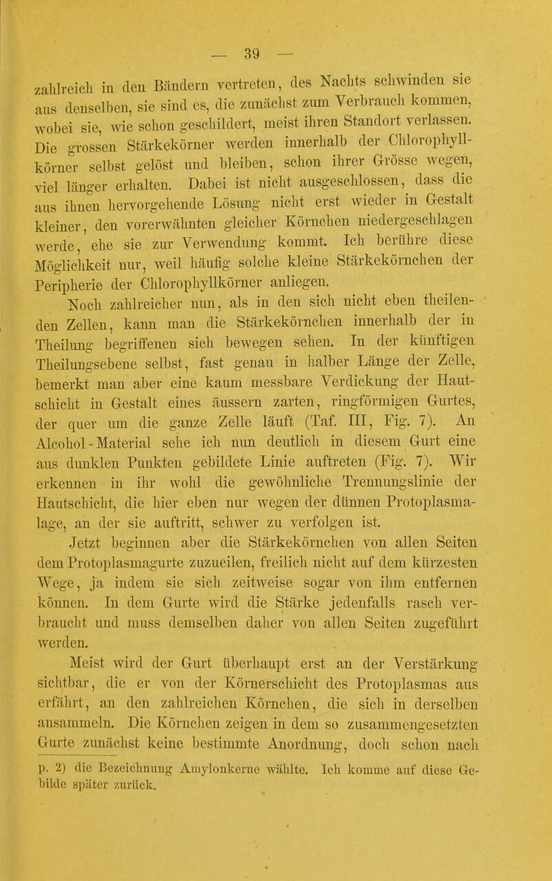 zalilreich in den Bändern vertreten, des Ncachts scliwinden sie aus denselben, sie sind es, die zimäcl.st zum Verbraucli kommen, AYobei sie, wie schon geschildert, meist ihren Standort verlassen. Die grossen Stärkekörner werden innerhalb der Chlorophyll- körne^r selbst gelöst und bleiben, schon ihrer Grösse wegen, viel länger erhalten. Dabei ist nicht ausgeschlossen,^ dass die aus ihnen hervorgehende Lösung nicht erst wieder in Gestalt kleiner, den vorerwähnten gleicher Körnchen niedergeschlagen werde, ehe sie. zur Verwendung kommt. Ich berühre diese Möglichkeit nur, weil häufig solche kleine Stärkekörnchen der Peripherie der Chlorophyllkörner anliegen. Noch zahlreicher nun, als in den sich nicht eben theilen- den Zellen, kann man die Stärkekörnchen innerlialb der in Theilung begriffenen sich bewegen sehen. In der künftigen Theilungsebene selbst, fast genau in halber Länge der Zelle, bemerkt man aber eine kaum messbare Verdickung der Haut- schicht in Gestalt eines äussern zarten, ringförmigen Gurtes, der quer um die ganze Zelle läuft (Taf. III, Fig. 7). An Alcohol - Material sehe ich nun deutlich in diesem Gurt eine aus dunklen Punkten gebildete Linie auftreten (Fig. 7). Wir erkennen in ihr wohl die gewöhnliche Treunungslinie der Hautschicht, die hier eben nur wegen der dünnen Protoplasma- lage, an der sie auftritt, schwer zu verfolgen ist. Jetzt beginnen aber die Stärkekörnchen von allen Seiten dem Protoplasmagurte zuzueilen, freilich nicht auf dem kürzesten Wege, ja indem sie sich zeitweise sogar von ihm entfernen können. In dem Gurte wird die Stärke jedenfalls rasch ver- braucht und muss demselben daher von allen Seiten zugeführt werden. Meist wird der Gurt überhaupt erst an der Verstärkung sichtbar, die er von der Körnerschicht des Protoplasmas aus erfälirt, an den zahlreichen Körnchen, die sich in derselben ansammeln. Die Körnclien zeigen in dem so zusammengesetzten Gurte zunächst keine bestimmte Anordnimg, doch schon nach p. 2) die Bezeichnung Amylonkerne Arählte. Ich komme auf diese Ge- bilde später zurück.