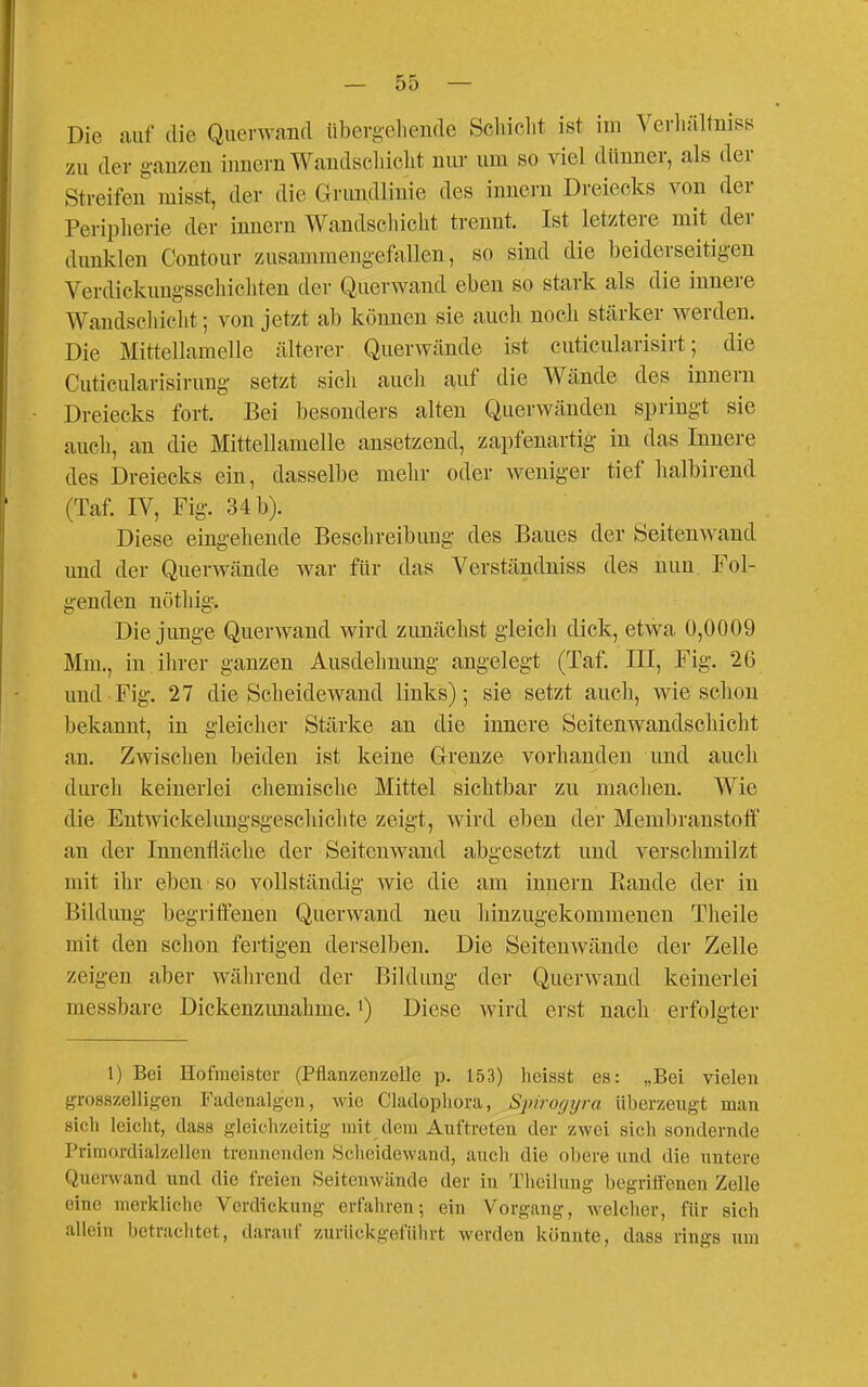 Die auf die Querwand libergeliende Scliiclit ist im Vevliältniss zu der ganzen innern Wandscliiclit nur um so viel dünner, als der Streifen misst, der die Grundlinie des innern Dreiecks von der Peripherie der innern Wandscliiclit trennt. Ist letztere mit der dunklen Contour zusammengefVillen, so sind die beiderseitig'en Verdickungsschicliten der Querwand eben so stark als die innere Wandscliiclit; von jetzt ab können sie auch noch stärker werden. Die Mittellamelle älterer Querwände ist cuticularisirt; die Cuticularisirung- setzt sich auch auf die Wände des innern Dreiecks fort. Bei besonders alten Querwänden springt sie auch, an die Mittellamelle ansetzend, zapfenartig- in das Innere des Dreiecks ein, dasselbe melir oder weniger tief halbirend (Taf IV, Fig. 34 b). Diese eingehende Beschreibung des Baues der Seitenwand und der Querwände war für das Verständniss des nun Fol- genden nöthig. Die junge Querwand wird zunächst gleich dick, etwa 0,0009 Mm., in ihrer ganzen Ausdehnimg angelegt (Taf, III, Fig. 26 und Fig. 27 die Scheidewand links); sie setzt auch, wie schon bekannt, in gleicher Stärke an die innere Seitenwandscliioht an. Zwischen beiden ist keine Grenze vorhanden und auch durch keinerlei chemische Mittel sichtbar zu maclien. Wie die Entwickelungsgeschichte zeigt, wird eben der Membranstoflf an der Innenfläche der Seitenwand abgesetzt und verschmilzt mit ihr eben so vollständig wie die am innern Eande der in Bildung begriffenen Querwand neu liinzugekommenen Theile mit den schon fertigen derselben. Die Seitenwände der Zelle zeigen aber während der Bildung der Querwand keinerlei messbare Dickenzimahme.') Diese wird erst nach erfolgter t) Bei Hofmeister (Pflanzenzelle p. 153) heisst es: „Bei vielen grosszelligen Fadenalgen, wie Cladopliora, Spirogyra überzeugt man sich leicht, dass gleichzeitig mit dem Anftrcten der zwei sich sondernde Primordialzellen trennenden .Scheidewand, auch die obere und die untere Querwand und die freien Seitenwände der in Thcilung begriüenen Zelle eine merkliche Verdickung erfahren; ein Vorgang, welcher, für sich allein betrachtet, darauf zurückgeführt werden könnte, dass rings um