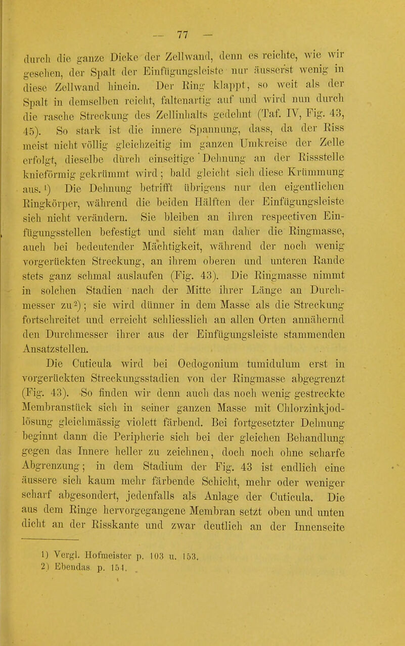 (liircli die ganze Dicke der Zellwaud, denn es reiclite, wie wir gesellen, der Spalt der Eiufiigungsleiste nur äusserst wenig in diese Zellwand Iiinein. Der King klajipt, so weit als der Spalt in demselben reicht, faltenartig auf und wird nun durch die rasche Streckung des Zellinhalts gedehnt (Taf. IV, Fig. 43, 45). So stark ist die innere Sjiannung, dass, da der Riss meist nicht völlig gleichzeitig im ganzen Umkreise der Zelle erfolgt, dieselbe durch einseitige' Dehnung an der Rissstelle knieförmig gekrümmt wird; bald gleicht sich diese Krümmung aus. 1) Die Dehnung betrifft übrigens nur den eigentlichen Ringkörper, während die beiden Hälften der Einfügungsleiste sich niclit verändern. Sie bleiben an iliren respectiven Ein- füguugsstellen befestigt und sielit man daher die Ringmasse, auch bei bedeutender Mächtigkeit, während der nocli wenig vorgerückten Streckung, an ihrem oberen und unteren Rande stets ganz schmal auslaufen (Fig. 43). Die Ringmasse nimmt in solchen Stadien nach der Mitte ihrer Länge an Durch- messer zu'^); sie wird dünner in dem Masse als die Streckung fortschreitet und erreicht scliliesslich an allen Orten annähernd den Durchmesser ihrer aus der Einfügungsleiste stammenden Ansatzstellen. Die Cuticula wird bei Oedogonium tumidulum erst in vorgerückten Streckungsstadien von der Ringmasse abgegrenzt (Fig. 43). So finden wir denn auch das noch wenig gestreckte Membranstück sich in seiner ganzen Masse mit Chlorzinkjod- lösung gleiclimässig violett färbend. Bei fortgesetzter Dehnung beginnt dann die Peripherie sich bei der gleichen Behandlung gegen das Innere heller zu zeichnen, doch noch ohne scharfe Abgrenzung; in dem Stadium der Fig. 43 ist endlich eine äussere sich kaum mehr färbende Schicht, mehr oder weniger scharf abgesondert, jedenfalls als Anlage der Cuticula. Die aus dem Ringe hervorgegangene Membran setzt oben und unten dicht an der Risskante und zwar deutlicli au der Innenseite 1) Vergl. Hofmeister p. 103 u. 153. 2) Ebendas p. 154.