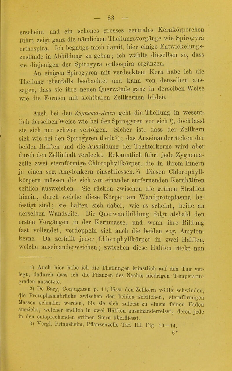 erscheint und ein schönes grosses centrales Kernkörperchen führt, zeigt ganz die nämlichen Tlieilungsvorgänge wie Spii-ogyra orthospira. Ich begnüge mich damit, hier einige Eutwickelungs- zustände in Abbildung zu geben; ich Wcählte dieselben so, dass sie diejenigen der Spirogyra orthospira ergänzen. An einigen Spirogyren mit verdecktem Kern habe ich die Theilimg ebenfalls beobachtet und kann von denselben aus- sagen, dass sie ihre neuen Querwände ganz in derselben Weise wie die Formen mit sichtbaren Zellkernen bilden. Auch bei den Zygnema-Arten geht die Theilung in wesent- lich derselben Weise wie bei den Spirogyi-en vor sich i), dochlässt sie sich nur schwer verfolgen. Sicher ist, dass der Zellkem sich wie bei den Spirogyren theilt 2); das Auseinanderrücken der beiden Hälften und die Ausbildung der Tochterkerne wird aber durch den Zellinhalt Verdeckt, Bekanntlich führt jede Zygnenia- zelle zwei sternförmige Chlorophyllkörper, die in ihrem Innern je einen sog. Amylonkern einschliessen. 3) Diesen Chlorophyll- körpern müssen die sich von einander entfernenden Kernhälften seitlich ausweichen. Sie rücken zwischen die grünen Strahlen hinein, durch welche diese Körper am Wandprotoplasma be- festigt sind; sie halten sich dabei, wie es scheint, beide an derselben Wandseite. Die Querwandbildung folgt alsbald den ersten Vorgängen in der Kernmasse, imd wenn ihre Bildung fast vollendet, verdoppeln sich auch die beiden sog. Amylon- kerne. Da zerfällt jeder Chlorophyllkörper in zwei Hälften, welche auseinanderweichen; zwischen diese Hälften rückt nun 1) Auch hier habe ich die Theihmgen künstlich auf den Tag ver- legt, dadurch dass ich die Pflanzen des Nachts niedrigen Temperatur- graden aussetzte. 2) De Bary, Conjugaten p. 11, lässt den Zellkern völlig schwinden, die Protoplasmabrücke zwischen den beiden seitlichen, sternförmigen Massen schmäler werden, bis sie sich zuletzt zu einem feinen Faden auszieht, welcher endlich in zwei Hälften auseinanderreisst, deren jede in den entsprechenden grünen Stern überfliegst. 3) Vergl. Pringsheim, Pflanzenzelle Taf. III, Fig. 10—14. 6*