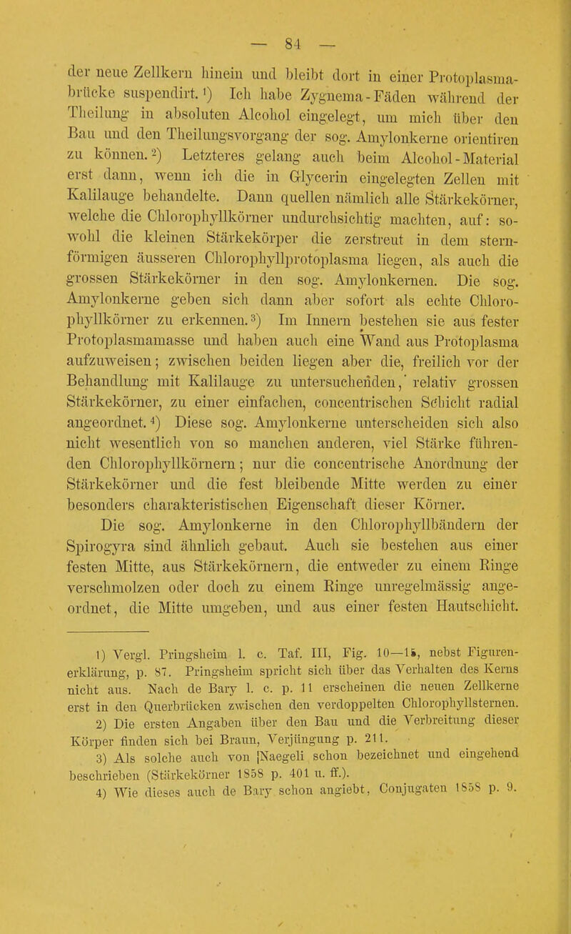 der neue Zellkern hinein und bleibt dort in einer Protoplasma- briteke suspendirt.') Ich habe Zygnema - Fäden während der Theilung- in absoluten Alcohol eingelegt, um mich über den Bau und den Tlieilungsvorgang der sog. Amylonkerue orientiren zu können. 2) Letzteres gelang auch beim Alcohol - Material erst dann, wenn ich die in Glycerin eingelegten Zellen mit Kalilauge behandelte. Dann quellen nämlich alle Stärkekörner, welche die Chlorophyllkörner undurchsichtig machten, auf: so- wohl die kleinen Stärkekörper die zerstreut in dem stern- förmigen äusseren Chlorophyllprotoplasma liegen, als auch die grossen Stärkekörner in den sog. Amyloukernen. Die sog. Amyloukerne geben sich dann aber sofort als echte Chloro- phyllkörner zu erkennen. ^) Im Innern bestehen sie aus fester Protoplasmamasse und haben auch eine Wand aus Protoplasma aufzuweisen; zwischen beiden liegen aber die, freilich vor der Behandlung mit Kalilauge zu untersuchenden,' relativ grossen Stärkekörner, zu einer einfachen, concentrischen Söhicht radial angeordnet. Diese sog. Amj^lonkerne unterscheiden sich also nicht wesentlich von so manchen anderen, viel Stärke führen- den Chlorophyllkörnern; nur die coucentrische Anordnung der Stärkekörner und die fest bleibende Mitte werden zu einer besonders charakteristischen Eigenschaft dieser Körner. Die sog. Amylonkerne in den Chlorophyllbänderu der Spirogyra sind ähnlich gebaut. Auch sie bestehen aus einer festen Mitte, aus Stärkekörnern, die entweder zu einem Ringe verschmolzen oder doch zu einem Ringe unregelmässig ange- ordnet, die Mitte umgeben, und aus einer festen Hautschicht. 1) Vergl. Pringsheim 1. c. Taf. III, Fig. 10—Ii, nebst Figuren- erklärung, p. 87. Pringsheim spricht sich über das Verhalten des Kerns nicht aus. Nach de Bary 1. c. p. 11 erscheinen die neuen Zellkerne erst in den Querbrücken zwischen den verdoppelten Chlorophyllsternen. 2) Die ersten Angaben über den Bau und die Verbreitung dieser Körper finden sich bei Braun, Verjüngung p. 211. 3) Als solche auch von |Naegeli schon bezeichnet und eingehend beschrieben (Stärkekörner 1858 p. 401 u. ff.). 4) Wie dieses auch de Bary schon angiebt, Conjugaten 1858 p. 9.