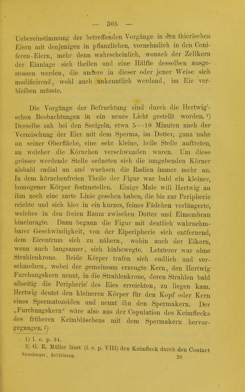 Uebereinstimmimg- der betreffenden Vorgänge in disn tliierischen Eiern mit denjenigen in pflanzliclien, vornehmlich in den Coni- feren-Eiern, mehr denn walirscheinlich, wonach der Zellkern der Eianlage sicli theilen und eine Hälfte desselben aiisge- stossen werden, die andere in dieser oder jener Weise sich modificirend, wohl auch unkenntlieli werdend, im Eie ver- bleiben müsste. Die Vorgänge der Befruchtung sind durch die Hertwig'- schen Beobachtungen in ein neues Licht gestellt worden, i) Derselbe sah bei den Seeigeln, etwa 5 —10 Minuten nach der Vermischung der Eier mit dem Sperma, im Dotter, ganz nahe au seiner Oberfläche, eine sehr kleine, helle Stelle auftreten, an welcher die Körnchen verschwunden waren. Um diese grösser werdende Stelle ordneten sich die .umgebenden Körner alsbald radial an und wuchsen die Eadien immer mehr an. In dem körnchenfreien Theile der Figur war bald ein kleiner, homogener Körper festzustellen. Einige Male will Hertwig an ihm noch eine zarte Linie gesehen haben, die bis zur Peripherie reichte und sich hier in ein kurzes, feines Fädchen verlängerte, welches in den freien Eaum zwischen Dotter und Eimembran hineinragte. Dann begann die Figur mit deutlich wahrnehm- barer Geschwindigkeit, von der Eiperipherie sich entfernend, dem Eicentnmi sich zu nähern, wohin auch der Eikern, wenn auch langsamer, sich hinbewegte. Letzterer war ohne Strahlenkrone. Beide Körper trafen sich endlich imd ver- schmolzen, wobei der gemeinsam erzeugte Kern, den Hertwig Furchungskern nennt, in die Stralilenkrone, deren Strahlen bald allseitig die Peripherie des Eies erreichten, zu liegen kam. Hertwig deutet den kleineren Körper für den Kopf oder Kern eines Spermatozoiden imd nennt ihn den Spermakern. Der „Furchungskern wäre also aus der Copulation des Keimflecks des früheren Keimbläschens mit dem Spermakern hervor- gegangen. 2) - 1) 1. C. p. 34. 2) G. E. Müller lUsst (1. c. p. VIII) den Keimfleck durch den Contaet Strasburger, Zcllbildurg. 20