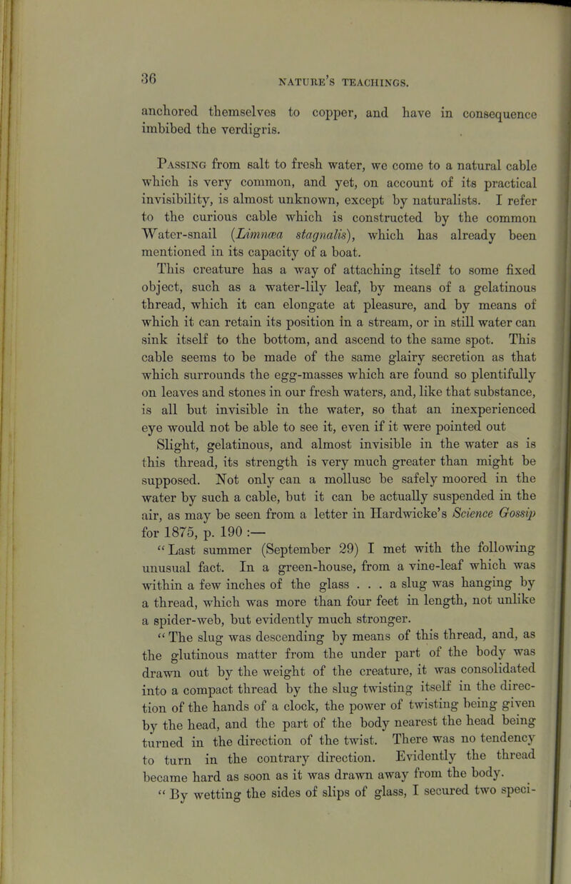 anchored themselves to copper, and have in consequence imbibed the verdigris. Passing from salt to fresh water, we come to a natural cable which is very common, and yet, on account of its practical invisibility, is almost unknown, except by naturalists. I refer to the curious cable which is constructed by the common Water-snail [Limncea stagnalis), which has already been mentioned in its capacity of a boat. This creature has a way of attaching itself to some fixed object, such as a water-lily leaf, by means of a gelatinous thread, which it can elongate at pleasure, and by means of which it can retain its position in a stream, or in still water can sink itself to the bottom, and ascend to the same spot. This cable seems to be made of the same glairy secretion as that which surrounds the egg-masses which are found so plentifully on leaves and stones in our fresh waters, and, like that substance, is all but invisible in the water, so that an inexperienced eye would not be able to see it, even if it were pointed out Slight, gelatinous, and almost invisible in the water as is this thread, its strength is very much greater than might be supposed. Not only can a mollusc be safely moored in the water by such a cable, but it can be actually suspended in the air, as may be seen from a letter in Hardwicke's Science Gossip for 1875, p. 190 :— Last summer (September 29) I met with the following unusual fact. In a green-house, from a vine-leaf which was within a few inches of the glass ... a slug was hanging by a thread, which was more than four feet in length, not unlike a spider-web, but evidently much stronger.  The slug was descending by means of this thread, and, as the glutinous matter from the under part of the body was drawn out by the weight of the creature, it was consolidated into a compact thread by the slug twisting itself in the direc- tion of the hands of a clock, the power of twisting being given by the head, and the part of the body nearest the head being turned in the direction of the twist. There was no tendency to turn in the contrary direction. Evidently the thread became hard as soon as it was drawn away from the body.  By wetting the sides of slips of glass, I secured two speci-