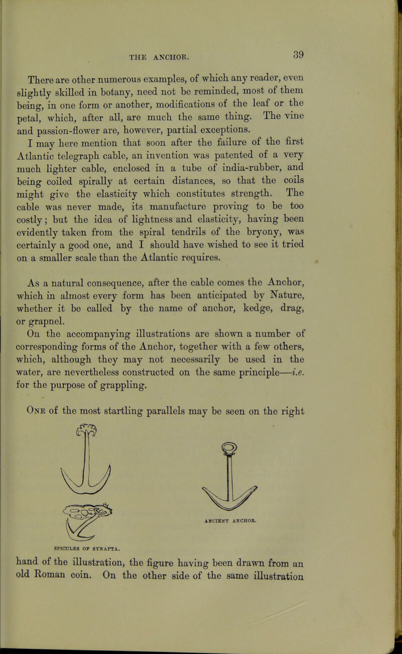 THE ANCHOR. There are other numerous examples, of which any reader, even slightly skilled in botany, need not be reminded, most of them being, in one form or another, modifications of the leaf or the petal, which, after all, are much the same thing. The vine and passion-flower are, however, partial exceptions. I may here mention that soon after the failure of the first Atlantic telegraph cable, an invention was patented of a very much lighter cable, enclosed in a tube of india-rubber, and being coiled spirally at certain distances, so that the coils might give the elasticity which constitutes strength. The cable was never made, its manufacture proving to be too costly; but the idea of lightness and elasticity, having been evidently taken from the spiral tendrils of the bryony, was certainly a good one, and I should have wished to see it tried on a smaller scale than the Atlantic requires. As a natural consequence, after the cable comes the Anchor, which in almost every form has been anticipated by Nature, whether it be called by the name of anchor, kedge, drag, or grapnel. On the accompanying illustrations are shown a number of corresponding forms of the Anchor, together with a few others, which, although they may not necessarily be used in the water, are nevertheless constructed on the same principle—i.e. for the purpose of grappling. One of the most startling parallels may be seen on the right ANCIENT ANOHOB. SPICULES OF SYNAPTA. hand of the illustration, the figure having been drawn from an old Roman coin. On the other side of the same illustration