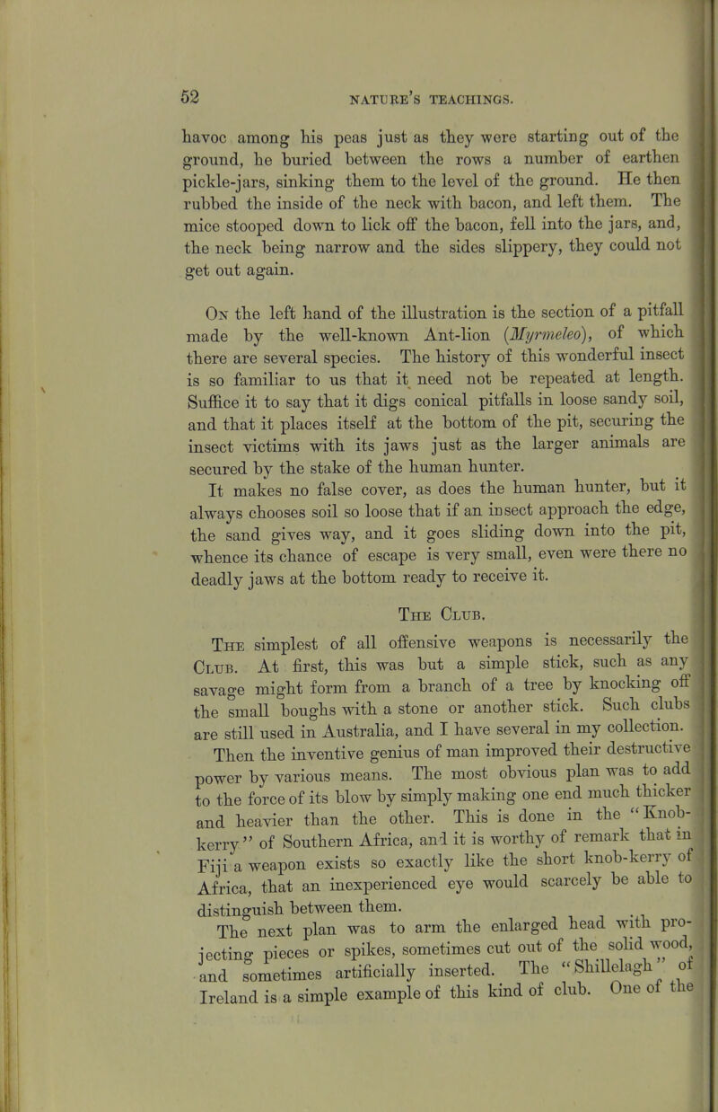 havoc among his peas just as they were starting out of the ground, he buried between the rows a number of earthen pickle-jars, sinking them to the level of the ground. He then rubbed the inside of the neck with bacon, and left them. The mice stooped down to lick off the bacon, fell into the jars, and, the neck being narrow and the sides slippery, they could not get out again. On the left hand of the illustration is the section of a pitfall made by the well-known Ant-lion [Myrmeleo), of which there are several species. The history of this wonderful insect is so familiar to us that it need not be repeated at length. Suffice it to say that it digs conical pitfalls in loose sandy soil, and that it places itself at the bottom of the pit, securing the insect victims with its jaws just as the larger animals are secured by the stake of the human hunter. It makes no false cover, as does the human hunter, but it always chooses soil so loose that if an insect approach the edge, the sand gives way, and it goes sliding down into the pit, whence its chance of escape is very small, even were there no deadly jaws at the bottom ready to receive it. The Club. The simplest of all offensive weapons is necessarily the Club. At first, this was but a simple stick, such as any savage might form from a branch of a tree by knocking off the small boughs with a stone or another stick. Such clubs are still used in Australia, and I have several in my collection. Then the inventive genius of man improved their destructive power by various means. The most obvious plan was to add to the force of its blow by simply making one end much thicker and heavier than the other. This is done in the Knob- kerry  of Southern Africa, and it is worthy of remark that m Fiji a weapon exists so exactly like the short knob-kerry of Africa, that an inexperienced eye would scarcely be able to distinguish between them. The next plan was to arm the enlarged head with pre- lecting pieces or spikes, sometimes cut out of the soHd wood and sometimes artificially inserted. The  Shillelagh of Ireland is a simple example of this kind of club. One of the