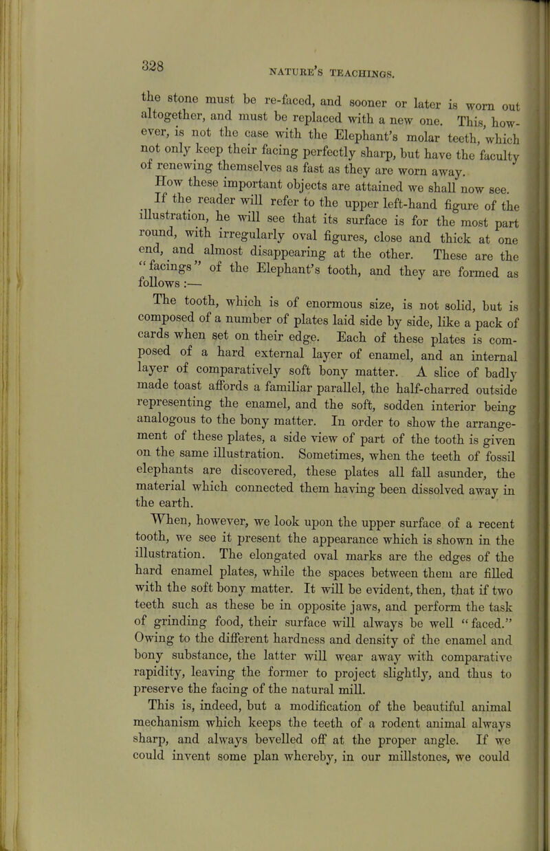 the stone must be re-faced, and sooner or later is worn out altogether, and must be replaced with a new one. This, how- ever, is not the case with the Elephant's molar teeth which not only keep their facing perfectly sharp, but have the faculty of renewing themselves as fast as they are worn away. How these important objects are attained we shall now see. If the reader will refer to the upper left-hand figure of the illustration, he will see that its surface is for the most part round, with irregularly oval figures, close and thick at one end, and almost disappearing at the other. These are the facings of the Elephant's tooth, and they are formed as follows :— The tooth, which is of enormous size, is not solid, but is composed of a number of plates laid side by side, like a pack of cards when set on their edge. Each of these plates is com- posed of a hard external layer of enamel, and an internal layer of comparatively soft bony matter. A slice of badly made toast affords a familiar parallel, the half-charred outside representing the enamel, and the soft, sodden interior being analogous to the bony matter. In order to show the arrange- ment of these plates, a side view of part of the tooth is given on the same illustration. Sometimes, when the teeth of fossil elephants are discovered, these plates all fall asunder, the material which connected them having been dissolved away in the earth. When, however, we look upon the upper surface of a recent tooth, we see it present the appearance which is shown in the illustration. The elongated oval marks are the edges of the hard enamel plates, while the spaces between them are filled with the soft bony matter. It will be evident, then, that if two teeth such as these be in opposite jaws, and perform the task of grinding food, their surface will always be well  faced. Owing to the different hardness and density of the enamel and bony substance, the latter will wear away with comparative rapidity, leaving the former to project slightly, and thus to preserve the facing of the natural mill. This is, indeed, but a modification of the beautiful animal mechanism which keeps the teeth of a rodent animal always sharp, and always bevelled off at the proper angle. If we could invent some plan whereby, in our millstones, we could