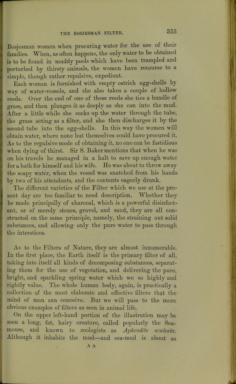 THE BOSJESMAN FILTER. Bosjesman women when procuring water for the use of their families. When, as often happens, the only water to be obtained is to be found in muddy pools which have been trampled and perturbed by thirsty animals, the women have recourse to a simple, though rather repulsive, expedient. Each woman is furnished with empty ostrich egg-shells by way of water-vessels, and she also takes a couple of hollow reeds. Over the end of one of these reeds she ties a bundle of grass, and then plunges it as deeply as she can into the mud. After a little while she sucks up the water through the tube, the grass acting as a filter, and she then discharges it by the second tube into the egg-shells. In this way the women will obtain water, where none but themselves could have procured it. As to the repulsive mode of obtaining it, no one can be fastidious when dying of thirst. Sir S. Baker mentions that when he was on his travels he managed in a halt to save up enough water for a bath for himself and his wife. He was about to throw away the soapy water, when the vessel was snatched from his hands by two of his attendants, and the contents eagerly drunk. The different varieties of the Filter which we use at the pre- sent day are too familiar to need description. Whether they be made principally of charcoal, which is a powerful disinfect- ant, or of merely stones, gravel, and sand, they are all con- structed on the same principle, namely, the straining out solid substances, and allowing only the pure water to pass through the interstices. As to the Filters of Nature, they are almost innumerable. In the first place, the Earth itself is the primary filter of all, taking into itself all kinds of decomposing substances, separat- ing them for the use of vegetation, and delivering the pure, bright, and sparkling spring water which we so highly and rightly value. The whole human body, again, is practically a collection of the most elaborate and effective filters that the mind of man can conceive. But we will pass to the more obvious examples of filters as seen in animal life. On the upper left-hand portion of the illustration may be seen a long, fat, hairy creature, called popularly the Sea- mouse, and known to zoologists as Aphrodite aculeata. Although it inhabits the mud—and sea-mud is about as A A