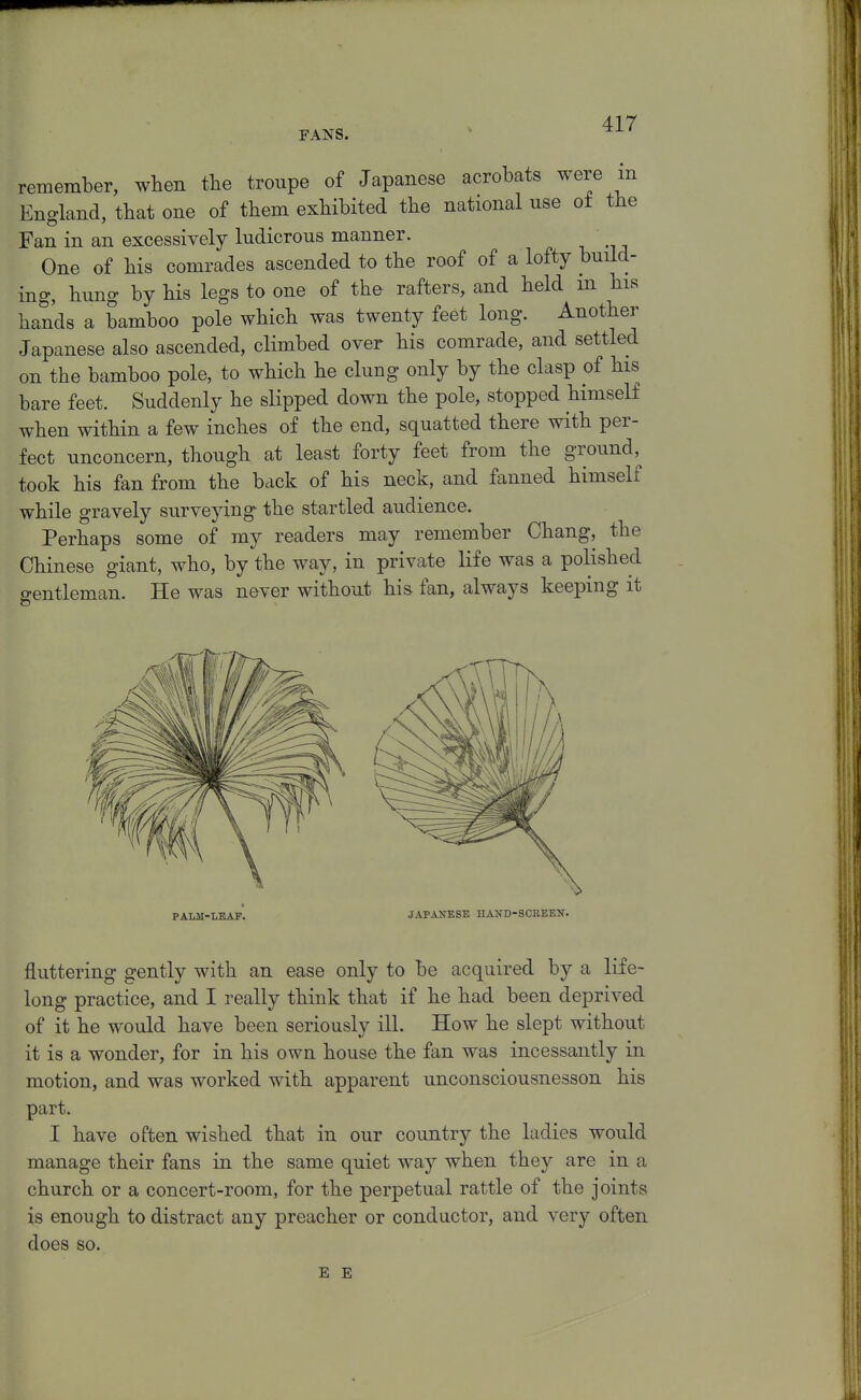 FANS. remember, when the troupe of Japanese acrobats were in England, that one of them exhibited the national use ot the Fan in an excessively ludicrous manner. One of his comrades ascended to the roof of a lofty build- ing, hung by his legs to one of the rafters, and held in his hands a bamboo pole which was twenty feet long. Another Japanese also ascended, climbed over his comrade, and settled on the bamboo pole, to which he clung only by the clasp of his bare feet. Suddenly he slipped down the pole, stopped himself when within a few inches of the end, squatted there with per- fect unconcern, though at least forty feet from the ground,^ took his fan from the back of his neck, and fanned himself while gravely surveying the startled audience. Perhaps some of my readers may remember Chang, the Chinese giant, who, by the way, in private life was a polished gentleman. He was never without his fan, always keeping it PALM-LEAF. JAPAXESE HAJfD-SCKEEN. fluttering gently with an ease only to be acquired by a life- long practice, and I really think that if he had been deprived of it he would have been seriously ill. How he slept without it is a wonder, for in his own house the fan was incessantly in motion, and was worked with apparent unconsciousnesson his part. I have often wished that in our country the ladies would manage their fans in the same quiet way when they are in a church or a concert-room, for the perpetual rattle of the joints is enough to distract any preacher or conductor, and very often does so. E E