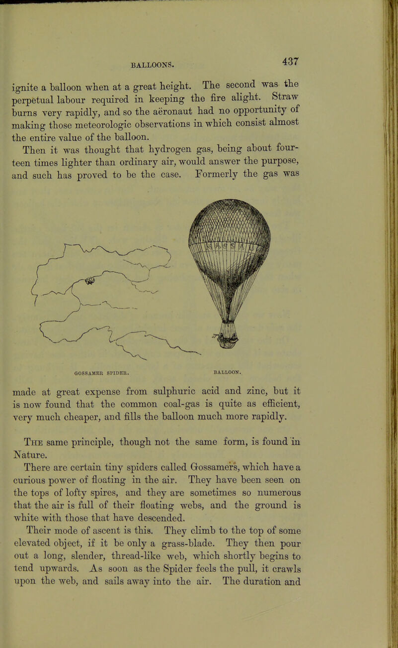BALLOONS. ignite a balloon when at a great height. The second was the perpetual labour required in keeping the fire alight. Straw burns very rapidly, and so the aeronaut had no opportunity of making those meteorologic observations in which consist almost the entire value of the balloon. Then it was thought that hydrogen gas, being about four- teen times lighter than ordinary air, would answer the purpose, and such has proved to be the case. Formerly the gas was GOSSAMER SPIDER. BALLOON. made at great expense from sulphuric acid and zinc, but it is now found that the common coal-gas is quite as efficient, very much cheaper, and fills the balloon much more rapidly. The same principle, though not the same form, is found in Nature. There are certain tiny spiders called Gossamers, which have a curious power of floating in the air. They have been seen on the tops of lofty spires, and they are sometimes so numerous that the air is full of their floating webs, and the ground is white with those that have descended. Their mode of ascent is this. They climb to the top of some elevated object, if it be only a grass-blade. They then pour out a long, slender, thread-like web, which shortly begins to tend upwards. As soon as the Spider feels the pull, it crawls upon the web, and sails away into the air. The duration and