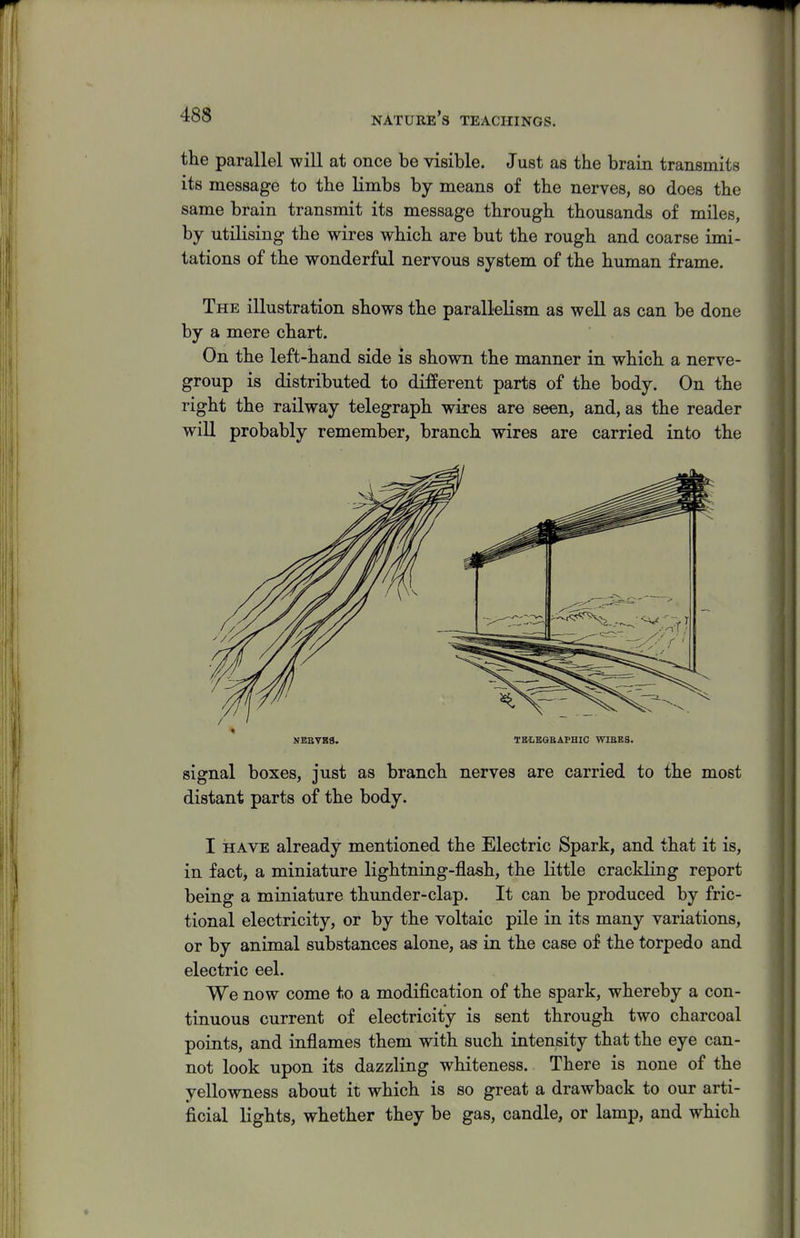 the parallel will at once be visible. Just as the brain transmits its message to the limbs by means of the nerves, so does the same brain transmit its message through thousands of miles, by utilising the wires which are but the rough and coarse imi- tations of the wonderful nervous system of the human frame. The illustration shows the parallelism as well as can be done by a mere chart. On the left-hand side is shown the manner in which a nerve- group is distributed to different parts of the body. On the right the railway telegraph wires are seen, and, as the reader will probably remember, branch wires are carried into the NBEVB8. TBtKGEAPHIC WIBBS. signal boxes, just as branch nerves are carried to the most distant parts of the body. I HAVE already mentioned the Electric Spark, and that it is, in fact, a miniature lightning-flash, the little crackling report being a miniature thunder-clap. It can be produced by fric- tional electricity, or by the voltaic pile in its many variations, or by animal substances alone, as in the case of the torpedo and electric eel. We now come to a modification of the spark, whereby a con- tinuous current of electricity is sent through two charcoal points, and inflames them with such intensity that the eye can- not look upon its dazzling whiteness. There is none of the yellowness about it which is so great a drawback to our arti- ficial lights, whether they be gas, candle, or lamp, and which