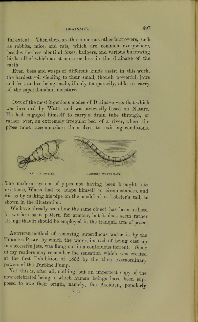 DRAINAGE. f ul extent. Then there are the numerous other burrowers, such as rabbits, mice, and rats, which are common everywhere, besides the less plentiful foxes, badgers, and various burrowing birds, all of which assist more or less in the drainage of the earth. Even bees and wasps of different kinds assist in this work, the hardest soil yielding to their small, though powerful, jaws and feet, and so being made, if only temporarily, able to carry off the superabundant moisture. One of the most ingenious modes of Drainage was that which was invented by Watts, and was avowedly based on Nature. He had engaged himself to carry a drain tube through, or rather over, an extremely irregular bed of a river, where the pipes must accommodate themselves to existing conditions. The modern system of pipes not having been brought into existence. Watts had to adapt himself to circumstances, and did so by making his pipe on the model of a Lobster's tail, as shown in the illustration. We have already seen how the same object has been utilised in warfare as a pattern for armour, but it does seem rather strange that it should be employed in the tranquil arts of peace. Another method of removing superfluous water is by the Turbine Pump, by which the water, instead of being cast up in successive jets, was flung out in a continuous torrent. Some of my readers may remember the sensation which was created at the first Exhibition of 1852 by the then extraordinary powers of the Turbine Pump. Yet this is, after all, nothing but an imperfect copy of the now celebrated being to which human beings have been sup- posed to owe their origin, namely, the Ascidian, popularly K K