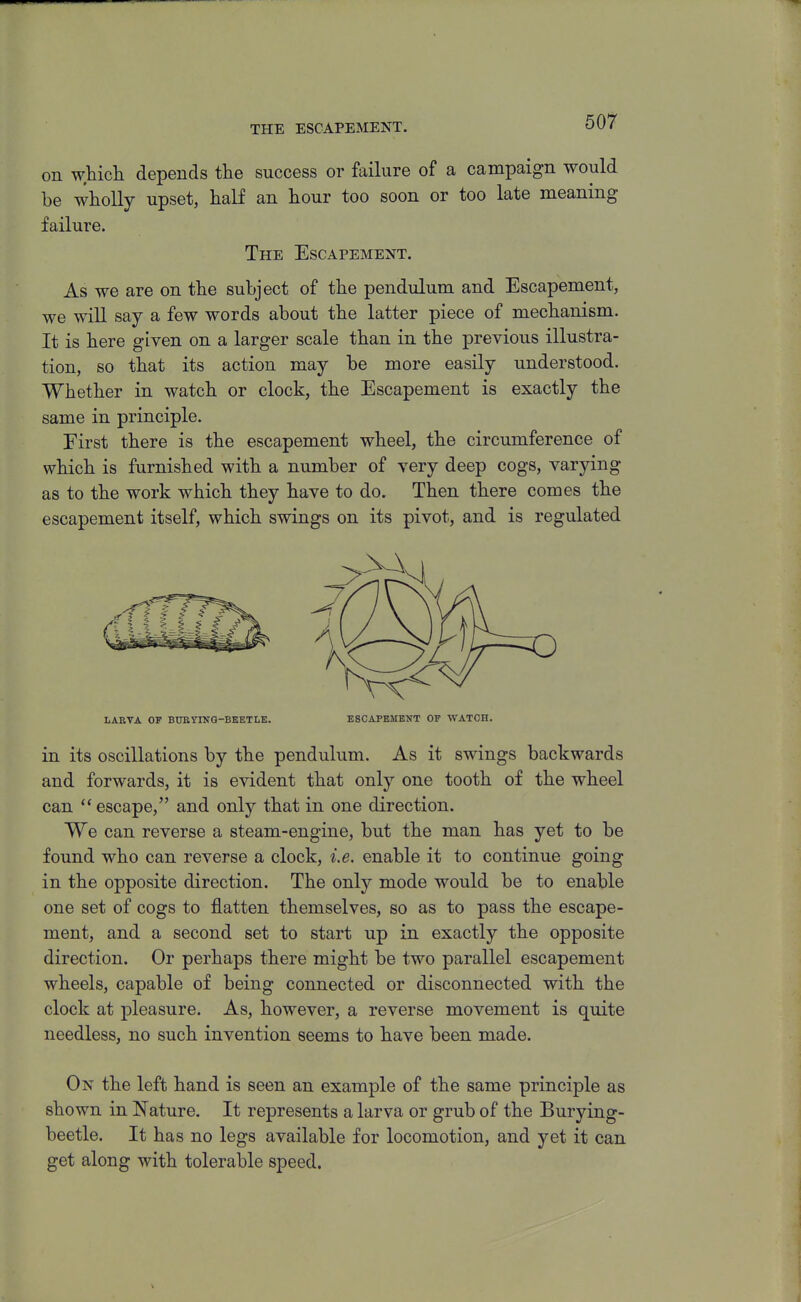 THE ESCAPEMENT. on wHcli depends the success or failure of a campaign would be wholly upset, half an hour too soon or too late meaning failure. The Escapement. As we are on the subject of the pendulum and Escapement, we will say a few words about the latter piece of mechanism. It is here given on a larger scale than in the previous illustra- tion, so that its action may be more easily understood. Whether in watch or clock, the Escapement is exactly the same in principle. First there is the escapement wheel, the circumference of which is furnished with a number of very deep cogs, varying as to the work which they have to do. Then there comes the escapement itself, which swings on its pivot, and is regulated LARVA OF BUEYISrG-BEETLE. ESCAPEMENT OF WATCH. in its oscillations by the pendulum. As it swings backwards and forwards, it is evident that only one tooth of the wheel can *' escape, and only that in one direction. We can reverse a steam-engine, but the man has yet to be found who can reverse a clock, i.e. enable it to continue going in the opposite direction. The only mode would be to enable one set of cogs to flatten themselves, so as to pass the escape- ment, and a second set to start up in exactly the opposite direction. Or perhaps there might be two parallel escapement wheels, capable of being connected or disconnected with the clock at pleasure. As, however, a reverse movement is quite needless, no such invention seems to have been made. On the left hand is seen an example of the same principle as shown in Nature. It represents a larva or grub of the Burying- beetle. It has no legs available for locomotion, and yet it can get along with tolerable speed.