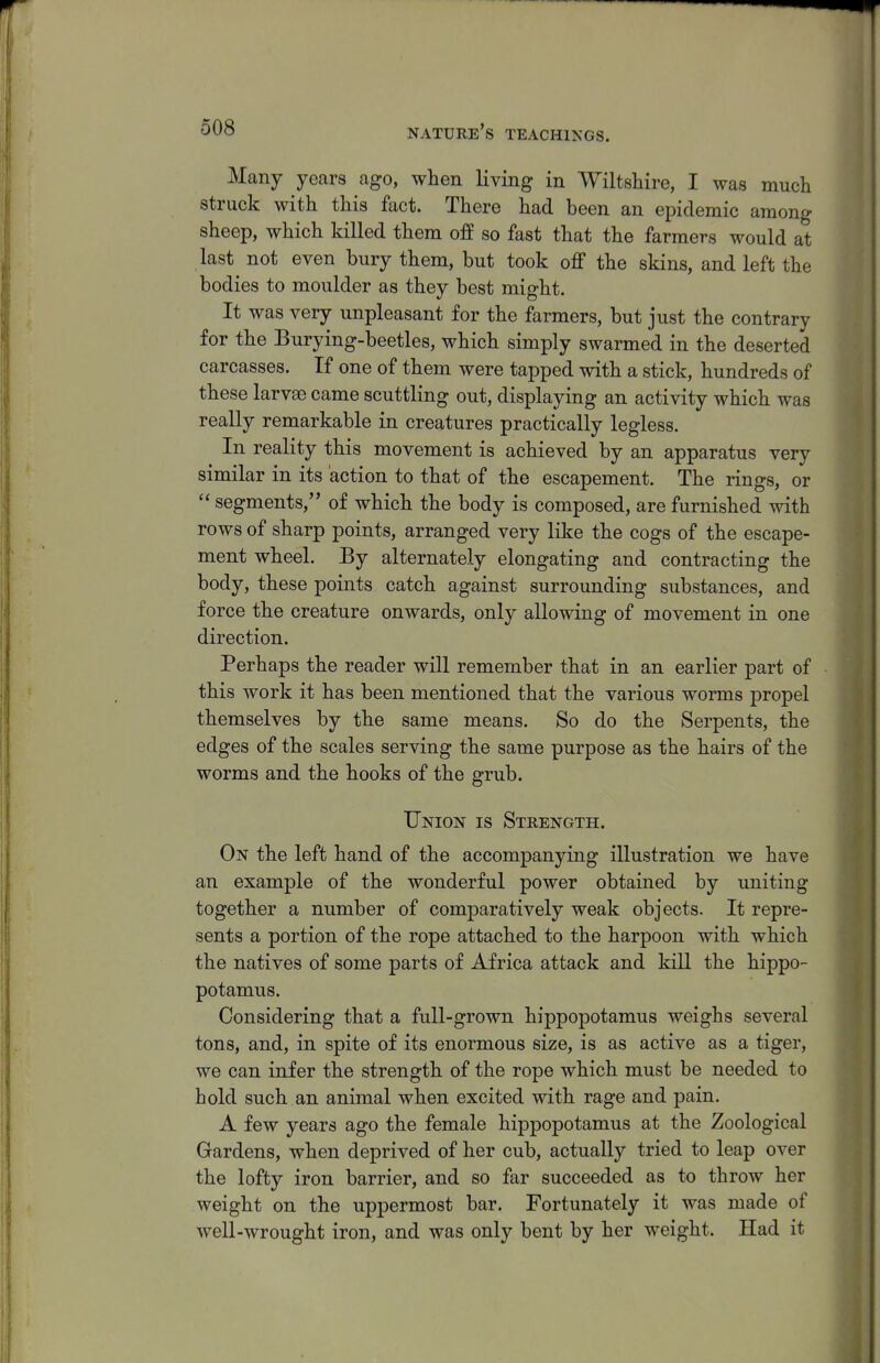 Many years ago, when living in Wiltshire, I was much struck with this fact. There had been an epidemic among sheep, which killed them off so fast that the farmers would at last not even bury them, but took off the skins, and left the bodies to moulder as they best might. It was very unpleasant for the farmers, but just the contrary for the Burying-beetles, which simply swarmed in the deserted carcasses. If one of them were tapped with a stick, hundreds of these larvae came scuttling out, displaying an activity which was really remarkable in creatures practically legless. In reality this movement is achieved by an apparatus very similar in its action to that of the escapement. The rings, or  segments, of which the body is composed, are furnished with rows of sharp points, arranged very like the cogs of the escape- ment wheel. By alternately elongating and contracting the body, these points catch against surrounding substances, and force the creature onwards, only allowing of movement in one direction. Perhaps the reader will remember that in an earlier part of this work it has been mentioned that the various worms propel themselves by the same means. So do the Serpents, the edges of the scales serving the same purpose as the hairs of the worms and the hooks of the grub. Union is Strength. On the left hand of the accompanying illustration we have an example of the wonderful power obtained by uniting together a number of comparatively weak objects. It repre- sents a portion of the rope attached to the harpoon with which the natives of some parts of Africa attack and kill the hippo- potamus. Considering that a full-grown hippopotamus weighs several tons, and, in spite of its enormous size, is as active as a tiger, we can infer the strength of the rope which must be needed to hold such an animal when excited with rage and pain. A few years ago the female hippopotamus at the Zoological Gardens, when deprived of her cub, actually tried to leap over the lofty iron barrier, and so far succeeded as to throw her weight on the uppermost bar. Fortunately it was made of well-wrought iron, and was only bent by her weight. Had it