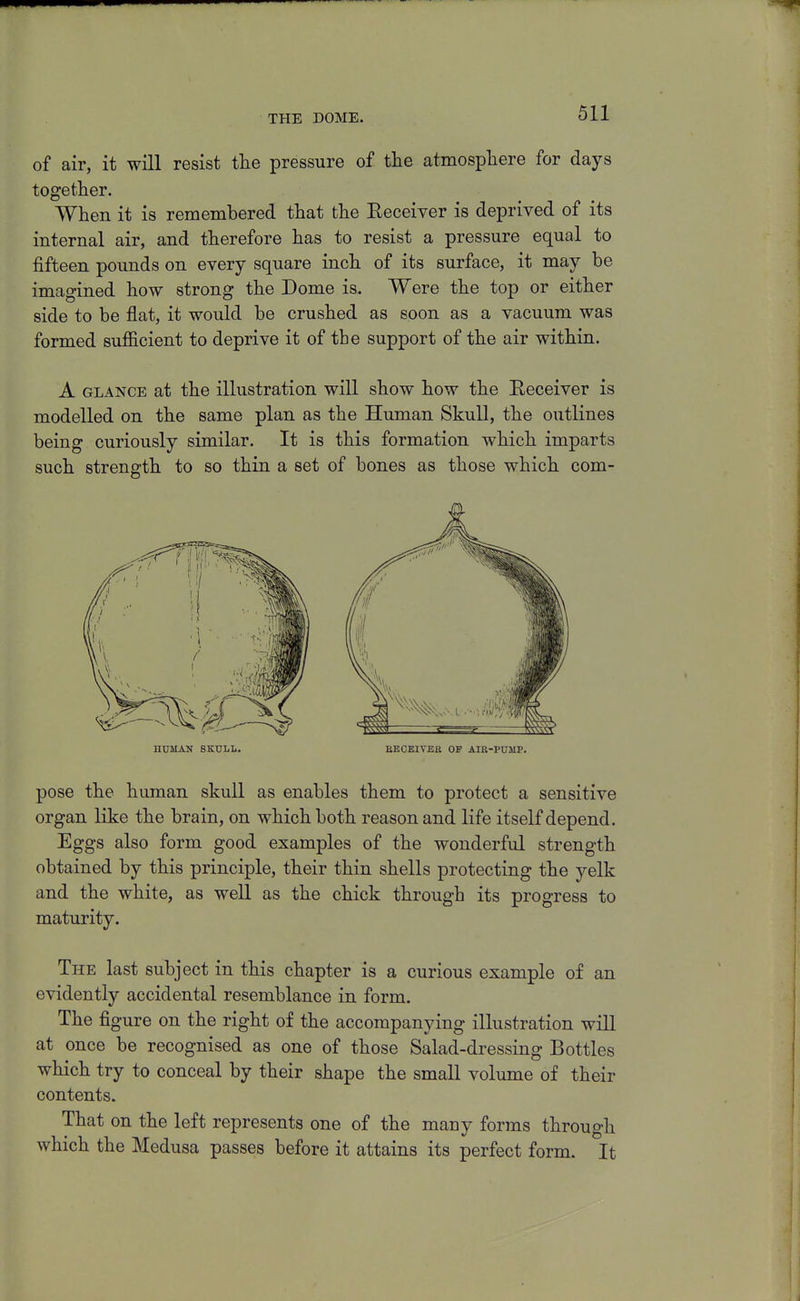 of air, it will resist the pressure of tlie atmosphere for days together. When it is remembered that the Eeceiyer is deprived of its internal air, and therefore has to resist a pressure equal to fifteen pounds on every square inch of its surface, it may be imagined how strong the Dome is. Were the top or either side to be flat, it would be crushed as soon as a vacuum was formed sufficient to deprive it of the support of the air within. A GLANCE at the illustration will show how the Receiver is modelled on the same plan as the Human Skull, the outlines being curiously similar. It is this formation which imparts such strength to so thin a set of bones as those which com- nUMAN SKULL. EEOEITEa OP AIB-PUIIP. pose the human skull as enables them to protect a sensitive organ like the brain, on which both reason and life itself depend. Eggs also form good examples of the wonderful strength obtained by this principle, their thin shells protecting the yelk and the white, as well as the chick through its progress to maturity. The last subject in this chapter is a curious example of an evidently accidental resemblance in form. The figure on the right of the accompanying illustration will at once be recognised as one of those Salad-dressing Bottles which try to conceal by their shape the small volume of their contents. That on the left represents one of the many forms through which the Medusa passes before it attains its perfect form. It