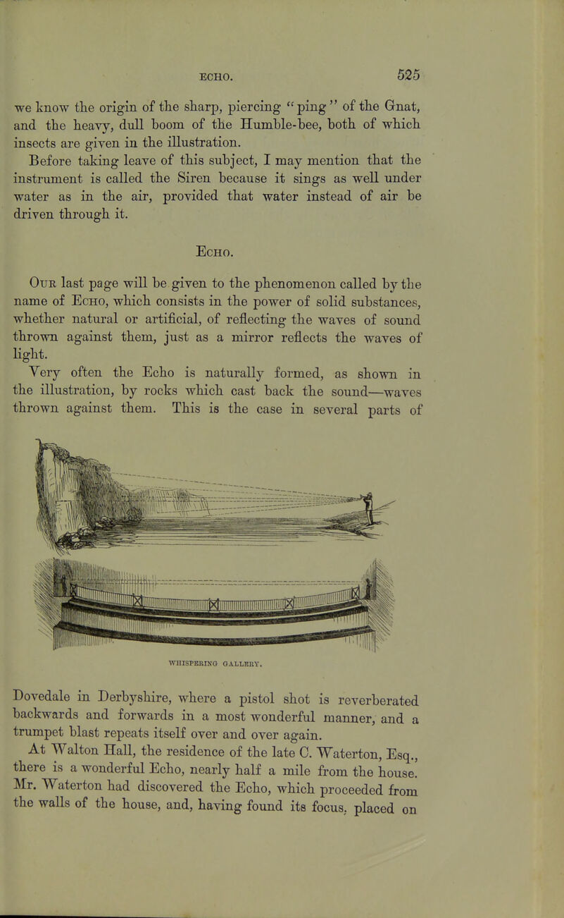 we know the origin of tlie sharp, piercing ping of the Gnat, and the heavy, dull boom of the Humble-bee, both of which insects are given in the illustration. Before taking leave of this subject, I may mention that the instrument is called the Siren because it sings as well under water as in the air, provided that water instead of air be driven through it. Echo. Our last page will be given to the phenomenon called by the name of Echo, which consists in the power of solid substances, whether natural or artificial, of reflecting the waves of sound thrown against them, just as a mirror reflects the waves of light. Very often the Echo is naturally formed, as shown in the illustration, by rocks which cast back the sound—waves thrown against them. This is the case in several parts of WHISPEEINO QALLHBY. Dovedale in Derbyshire, where a pistol shot is reverberated backwards and forwards in a most wonderful manner, and a trumpet blast repeats itself over and over again. At Walton Hall, the residence of the late C. Waterton, Esq., there is a wonderful Echo, nearly half a mile from the house! Mr. Waterton had discovered the Echo, which proceeded from the walls of the house, and, having found its focus, placed on