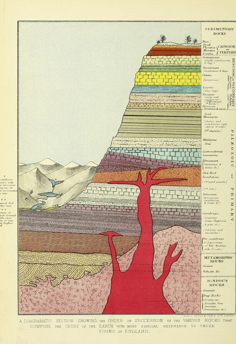 A DJAGRAMATIC SECTIUJM 3H0W1KG the ORDER oe SUCCESSION op the VARIOUS ROCKS that COMPOSE THE CRETST of th:e EARTH with more especial reeereitce to those