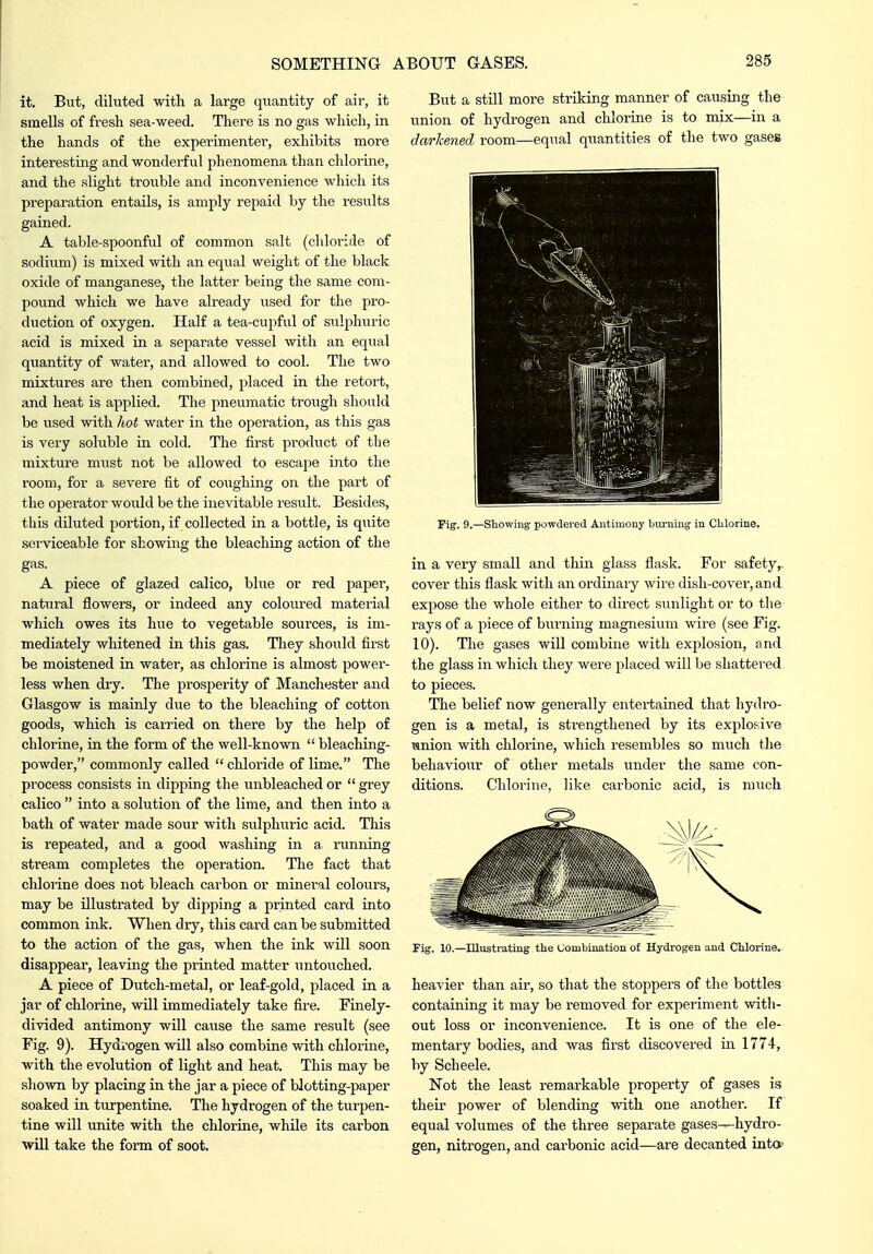 it. But, diluted with a large quantity of air, it smells of fresli sea-weed. There is no gas which, in the hands of the experimenter, exhibits more interesting and wonderful phenomena than chlorine, and the slight trouble and inconvenience which its preparation entails, is amply repaid by the results gained. A table-spoonful of common salt (chloride of sodium) is mixed with an equal weight of the black oxide of manganese, the latter being the same com- jiound which we have already used for the pro- duction of oxygen. Half a tea-cupful of sulphuric acid is mixed in a separate vessel with an equal quantity of water, and allowed to cool. The two mixtures are then combined, placed in the retort, and heat is applied. The pneumatic trough should be used with liot water in the operation, as this gas is very soluble in cold. The first product of tbe mixture miist not be allowed to escape into the room, for a severe fit of coiighing on the part of the operator would be the inevitable result. Besides, this diluted portion, if collected in a bottle, is q\iite serviceable for showing the bleaching action of the gas. A piece of glazed calico, blue or red paper, natural flowers, or indeed any coloured material which owes its hue to vegetable sources, is im- mediately whitened in this gas. They should first be moistened in water, as chlorine is almost power- less when dry. The prosperity of Manchester and Glasgow is mainly due to the bleaching of cotton goods, which is carried on there by the help of chlorine, in the form of the well-known  bleaching- powder, commonly called  chloride of lime. The process consists in dipping the unbleached or  grey calico  into a solution of the lime, and then into a bath of water made sour with svilphuric acid. This is repeated, and a good washing in a x-unning stream completes the operation. The fact that chlorine does not bleach carbon or minei-al colours, may be illustrated by dipping a printed card into common ink. When dry, this card can be submitted to the action of the gas, when the ink will soon disappear, leaving the printed matter untouched. A piece of Dutch-metal, or leaf-gold, placed in a jar of chlorine, will immediately take fire. Finely- divided antimony will cause the same result (see Fig. 9). Hydrogen will also combine with chlorine, with the evolution of light and heat. This may be shovm by placing in the jar a piece of blotting-paper soaked in turpentine. The hydrogen of the turpen- tine will unite with the chlorine, while its cai-bon will take the form of soot. But a still more striking manner of causing the union of hydrogen and chlorine is to mix—in a darkened room—equal quantities of the two gase& Fig. 9.—Showing powdered Antiinouy biuning in Clilorine. in a very small and thin glass flask. For safety,, cover this flask with an ordinary wire dish-cover, and expose the whole either to direct simlight or to the- rays of a piece of burning magnesium wire (see Fig. 10). The gases will combine with explosion, and the glass in which they were placed will be shattered to pieces. The belief now generally entertained that hydi-o- gen is a metal, is strengthened by its explosive mnion with chlorine, which resembles so much the behaviour of other metals under the same con- ditions. Chlorine, like carbonic acid, is much Fig. 10.—niustrating the Combination of Hydrogen and CUorine.- heavier than air, so that the stoppers of the bottles containing it may be removed for experiment with- out loss or inconvenience. It is one of the ele- mentary bodies, and was first discovered in 1774, by Scheele. Not the least remarkable property of gases is their power of blending with one another. If equal volumes of the three separate gases—hydro- gen, niti'ogen, and carbonic acid—are decanted int*