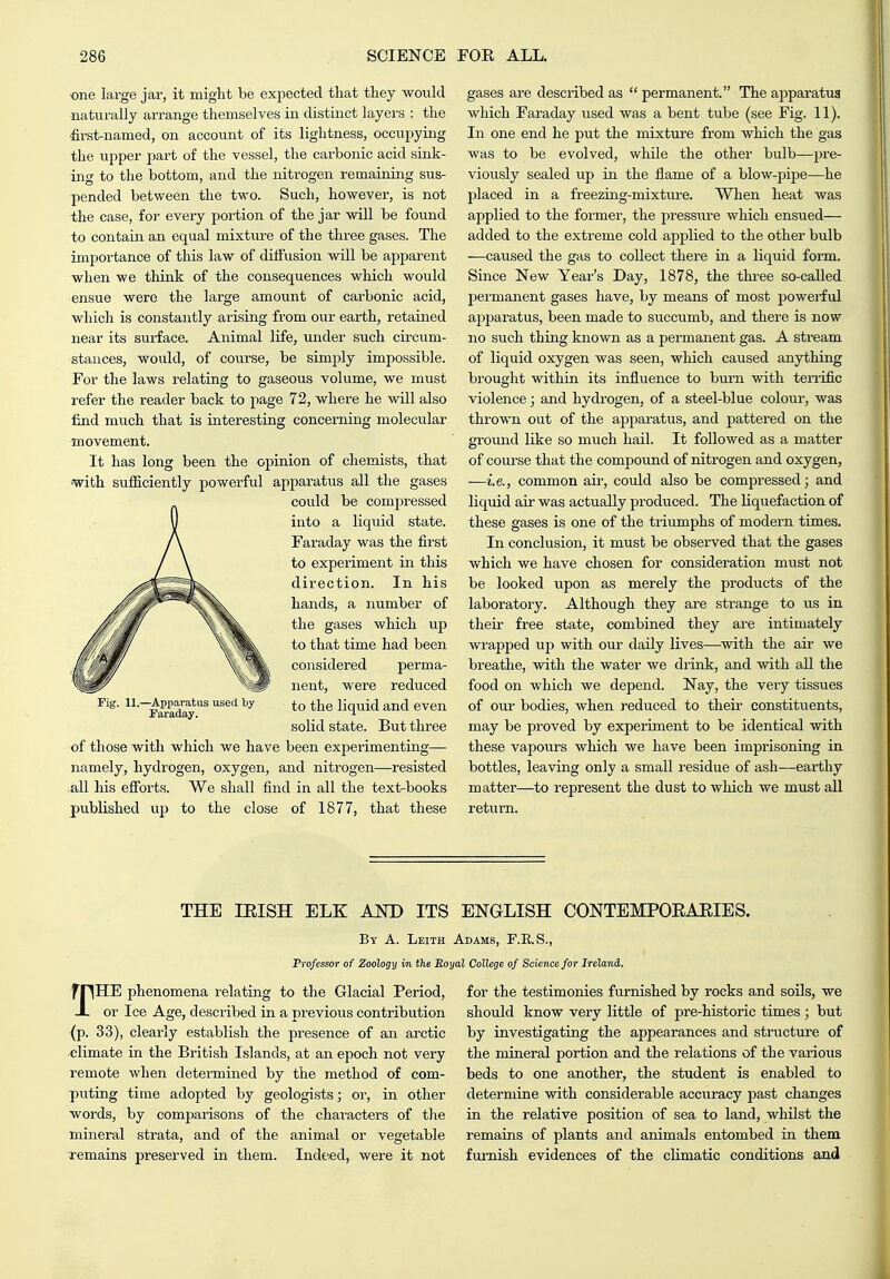 one large jar, it might be expected that they would naturally arrange themselves in distinct layers : the first-named, on account of its lightness, occupying the upper part of the vessel, the carbonic acid siak- ing to the bottom, and the nitrogen remaining sus- pended between the two. Such, however, is not -the case, for eveiy portion of the jar will be found to contain an equal mixture of the three gases. The importance of this law of diffusion will be apparent when we think of the consequences which would ensue were the large amount of carbonic acid, which is constantly arising from our earth, retained near its surface. Animal life, under such circum- stances, would, of course, be simply impossible. For the laws relating to gaseous volume, we must refer the reader back to page 72, where he will also find much that is interesting concerning molecular movement. It has long been the opinion of chemists, that <with sufiiciently powerful apparatus all the gases could be compressed into a liquid state. Faraday was the first to experiment in this direction. In his hands, a number of the gases which up to that time had been considered perma- nent, were reduced to the liquid and even solid state. But three of those with which we have been experimenting— namely, hydrogen, oxygen, and nitrogen—resisted all his efforts. We shall find in all the text-books published up to the close of 1877, that these 11.—Apparatus used by Faraday. gases are described as  permanent. The apparatus which Faraday used was a bent tube (see Fig. 11). In one end he put the mixture from which the gas was to be evolved, while the other bulb—pre- viously sealed up in the flame of a blow-pipe—he placed in a freezing-mixture. When heat was applied to the former, the pressure which ensued— added to the extreme cold applied to the other bulb —caused the gas to collect there in a liquid form. Since New Year's Day, 1878, the thi-ee so-caUed permanent gases have, by means of most powei-f ul apparatus, been made to succumb, and there is now no such thing known as a permanent gas. A stream of liquid oxygen was seen, wliich caused anything brought within its influence to burn with ten-ific violence; and hydrogen, of a steel-blue colour, was thro'wn out of the ajDparatus, and pattered on the ground like so much hail. It followed as a matter of course that the compound of nitrogen and oxygen, —i.e., common aii, could also be compressed; and liquid air was actually produced. The liquefaction of these gases is one of the triumphs of modern times. In conclusion, it must be observed that the gases which we have chosen for consideration must not be looked upon as merely the products of the laboratory. Although they are sti'ange to us in their free state, combined they are intimately wrapped up with our daily lives—with the air we breathe, with the water we drink, and with all the food on which we depend. Nay, the very tissues of our bodies, when reduced to then- constituents, may be proved by experiment to be identical with these vapours which we have been imprisoning in bottles, leaving only a small residue of ash—earthy matter—to represent the dust to which we must all return. THE lEISH ELK AKD ITS ENGLISH CONTEMPOEAEIES. By a. Leith Adams, F.E.S., Professor o f Zoology in the Royal College of Science for Ireland. f pHE phenomena relating to the Glacial Period, X or Ice Age, described in a previous contribution (p. 33), clearly establish the presence of an arctic •climate in the British Islands, at an epoch not very remote when determined by the method of com- puting time adopted by geologists; or, in other words, by comparisons of the characters of the mineral strata, and of the animal or vegetable remains preserved in them. Indeed, were it not for the testimonies furnished by rocks and soils, we should know very little of pre-historic times ; but by investigating the appearances and structure of the mineral portion and the relations of the various beds to one another, the student is enabled to determine with considerable accuracy past changes in the relative position of sea to land, whilst the remains of plants and animals entombed in them furnish evidences of the cLLmatic conditions and