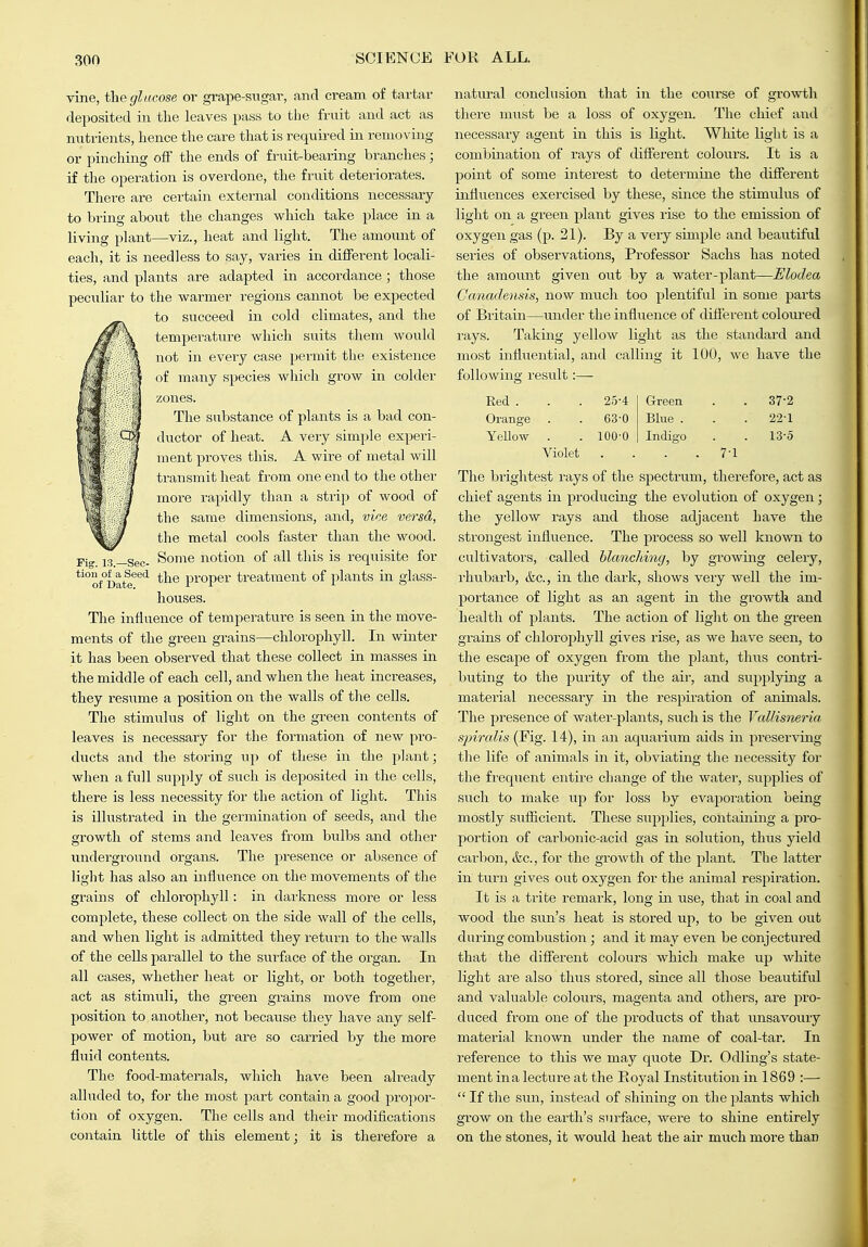 Fig. 13.—Sec- vine, the glucose or grape-sugar, and cream of tartar deposited in tlie leaves pass to the fruit and act as nutrients, hence the care that is requu-ed in removing or pinching off the ends of fruit-bearing branches; if tlie operation is overdone, the fruit deterioi-ates. There are certain external conditions necessary to bi'ing about the changes which take place in a living plant—viz., heat and light. The amount of each, it is needless to say, varies in different locali- ties, and plants are adapted in accordance; those peculiar to the warmer regions cannot be expected to succeed in cold climates, and the temperature which suits them would not in every case permit the existence of many species which grow in colder zones. The substance of plants is a bad con- ductor of heat. A very simple experi- ment proves this. A wire of metal will transmit heat from one end to the other moi-e rapidly than a strip of wood of the same dimensions, and, vice versa, the metal cools faster than the wood. Some notion of all this is requisite for *^°of°i)at^'^'^'^ the proper treatment of plants in glass- houses. The influence of temperature is seen in the move- ments of the green grains—chlorophyll. In winter it has been observed that these collect in masses in the middle of each cell, and when the heat increases, they resume a position on the walls of the cells. The stimulus of light on the green contents of leaves is necessary for the formation of new pi-o- ducts and the storing up of these in the phxnt; when a full supply of such is deposited in the cells, there is less necessity for the action of light. This is illustrated in the germination of seeds, and tlie growth of stems and leaves from bulbs and other underground organs. The presence or absence of liglit has also an influence on the movements of the grains of chlorophyll: in darkness more or less complete, these collect on the side wall of the cells, and when light is admitted they return to the walls of the cells parallel to the surface of the organ. In all cases, whether heat or light, or both together, act as stimuli, the green grains move from one 2)osition to another, not because they have any self- power of motion, but are so carried by the more fluid contents. The food-materials, which have been already alluded to, for the most part contain a good propor- tion of oxygen. The cells and their modifications contain little of this element; it is therefore a natural conclusion that in the course of growth tliere must be a loss of oxygen. The chief and necessary agent in this is light. White light is a combination of rays of different colours. It is a point of some interest to determine the different influences exercised by these, since the stimulus of light on a green plant gives rise to the emission of oxygen gas (p. 21). By a very simple and beautiful series of observations, Professor Sachs has noted the amount given out by a water-plant—Elodea Canadensis, now mucli too plentiful in some parts of Britain—under the influence of difl'erent coloured rays. Taking yellow light as the standard and most influential, and calling it 100, we have the following result:— Red . Orange Yellow 25-4 63-0 100-0 Green Blue . Indiao 37-2 22-1 13-0 Violet .... 7-1 The brightest rays of the spectrum, therefore, act as chief agents in producing the evolution of oxygen; the yellow i-ays and those adjacent have the strongest influence. The process so well known to cultivators, called hlancldng, by growing celery, rhubarb, &c., in the dark, shows very well the im- portance of light as an agent in the growth and health of plants. The action of light on the green grains of chlorophyll gives rise, as we have seen, to the escape of oxygen from the plant, thus contri- buting to the purity of the air, and supplying a material necessary in the respiration of animals. The presence of water-plants, such is the Vallisneria spiralis (Fig. 14), in an aquarium aids in preservmg the life of animals in it, obviating the necessity foi- the frequent entire change of the water, suiiplies of such to make up for loss by evaporation being mostly sufficient. These supplies, containing a pro- portion of carbonic-acid gas in solution, thus yield carbon, &c., for the growth of the plant. The latter in turn gives out oxygen for the animal respiration. It is a trite remark, long in use, that in coal and wood the sun's heat is stored up, to be given out during combustion; and it may even be conjectured that the different colours which make up white light are also thus stored, since all those beautiful and valuable colours, magenta and others, are pro- duced fi'om one of the products of that imsavoury material known under the name of coal-tar. In reference to this we may quote Dr. Odling's state- ment ina lecture at the Eoyal Institution in 1869 :—  If tlie sun, instead of shining on the plants which gi'ow on the earth's surface, were to shine entirely on the stones, it would heat the air much more than