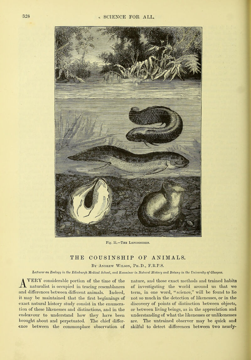 THE COUSII^SHIP OF ANIMALS. By Andrew Wilson, Ph.D., F.R.P.S. lectiirm on Zoology in the Edinburgh Medical School, and Examiner in Natural History and Botany in the University of Glasgow. AVERY considerable portion of the time of tlie naturalist is occupied in tracing resemblances and differences between different animals. Indeed, it may be maintained that the first beginnings of ■exact natiu-al history study consist in the enumera- tion of these likenesses and distinctions, and in the endeavoiir to understand hoAV they have been bi'ought about and perpetuated. The chief differ- ence between the commonplace observation of nature, and those exact methods and trained habits of investigating the world around us that we term, in one word,  science, will be found to lie not so much in the detection of likenesses, or in tbe discovery of points of distinction between objects, or between living beings, as in the appreciation and imderstandiag of what the likenesses or unlikenesses are. Tlie untrained observer may be quick and skilful to detect differences between two nearly-