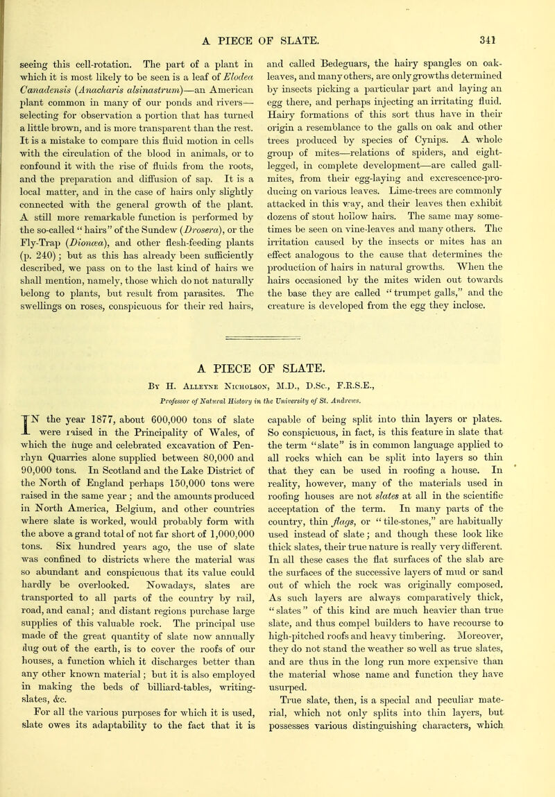 seeing this cell-rotation. The part of a plant in which it is most likely to be seen is a leaf of Elodea Canadensis (Anacharis ahinastruni)—an American plant common in many of our ponds and rivers— selecting for observation a portion that has turned a little brown, and is more transparent than the rest. It is a mistake to compare this fluid motion in cells with the circulation of the blood in animals, or to confound it with the rise of fluids from the roots, and the preparation and difiusion of sap. It is a local matter, and in the case of haii's only slightly connected with the general giOwth of the jjlant. A still more remarkable function is performed by the so-called  hairs of the Sundew (Brosera), or the Fly-Trap (Dioncea), and other flesh-feeding plants (p. 240); but as this has already been sufiiciently described, we pass on to the last kind of hairs we shall mention, namely, those which do not naturally belong to plants, but result from parasites. The swellings on roses, conspicuous for their red hairs. and called Bedeguars, the hairy spangles on oak- leaves, and many others, are only growths determined by insects pickiiag a particvilar part and laying an egg there, and perhaps injecting an irritating fluid. Haiiy formations of this sort thus have in theix- origin a resemblance to the galls on oak and other trees produced by species of Cynips. A whole group of mites—relations of spiders, and eight- legged, in complete development—are called gall- mites, from their egg-laying and excrescence-pro- ducing on various leaves. Lime-trees are commonly attacked in tliis v:ay, and their leaves then exliibit dozens of stout hollow hairs. The same may some- times be seen on vine-leaves and many othex'S. The irritation caused by the msects or mites has an efiect analogous to the cause that determines the production of hairs in natural growths. When the hairs occasioned by the mites widen out towards the base they are called trumpet galls, and the creature is developed from the egg they inclose. A PIECE OF SLATE. By H. Alleyne Kicholson, M.D., D.Sc, F.E.S.E., Professor of Natural History in the University of St. Andrcns. IN the year 1877, aboiit 600,000 tons of slate were laised in the Principality of Wales, of which the huge and celebrated excavation of Pen- rhyn Quarries alone supplied between 80,000 and 90,000 tons. In Scotland and the Lake District of the North of England perhaps 150,000 tons were raised in the same year; and the amounts produced in North America, Belgium, and other countries where slate is worked, would jjrobably form with the above a grand total of not far short of 1,000,000 tons. Six hiindi-ed years ago, the use of slate was conflned to districts where the material was so abundant and conspicuous that its value could hardly be overlooked. Nowadays, slates are transported to all parts of the country by rail, road, and canal; and distant regions purchase large supplies of this valuable rock. The principal use made of the great quantity of slate now annually flug out of the earth, is to cover the roofs of our houses, a function which it discharges better than any other known material; but it is also employed in making the beds of billiard-tables, writing- slates, (fee. For all the various purposes for Avhich it is used, slate owes its adaptability to the fact that it is capable of being split into thur layers or plates. So conspicuous, in fact, is this feature in slate that the term slate is in common language applied to all rocks which can be split into layers so thin that they can be used in rooflng a house. In reality, however, many of the materials used in roofing houses are not slates at all in the scientific acceptation of the term. In many parts of the country, thin flags, or  tile-stones, are habitually used instead of slate; and though these look like thick slates, their true nature is really A'ery difi'erent. In all these cases the flat surfaces of the slab are the surfaces of the successive layers of mud or sand o\it of which the rock was oi'iginally composed. As such layers are always comparatively thick,  slates  of this kind are much heavier than true slate, and thiis compel builders to have recourse to high-pitched roofs and heavy timbering. IMoreover, they do not stand the weather so well as true slates, and are thxis in the long run more expensive than the material whose name and function they have usurped. True slate, then, is a special and peculiar mate- rial, Avhich not only splits into thin layers, but possesses various distinguishing characters, which.