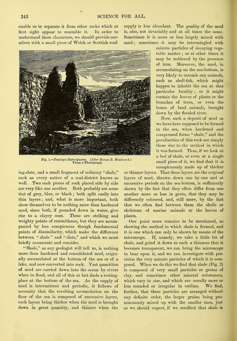enable us to separate it from other rocks which at first sight appear to resemble it. In order to understand these characters, we should provide our- selves with a small piece of Welsh or Scottish roof- Fig. 1.—Penrhyu Slate-Quarry. (After Horace B. Woodward. From a Photograpli. ing-slate, and a small fragment of ordinary  shale, such as every native of a coal-district knows so well. Two such pieces of rock placed side by side are very like one another. Both probably are some tint of grey, blue, or black; both split easUy into thin layers; and, what is more important, both show themselves to be nothing more than hardened mud, since both, if pounded down in water, give rise to a clayey ooze. These are striking and weighty points of resemblance, but they are accom- panied by less conspicuous though fundamental points of dissimilarity, which make the difference between  shale  and  slate, and which we must briefly enumerate and consider.  Shale, as any geologist will tell us, is notliing more than hardened and consolidated mud, origin- ally accumulated at the bottom of the sea or of a lake, and now converted into rock. Vast quantities of mud are carried down into the ocean by rivers when in flood, and all of this at last finds a resting- place at the bottom of the sea. As the supply of mud is intermittent and periodic, it follows of necessity that the resulting accumulation on the floor of the sea is composed of successive layers, such layers being thicker when the mud is brought down in great quantity, and thinner when the supply is less abundant. The quality of the mud is, also, not invariably and at all times the same. Sometimes it is more or less largely mixed with sand; sometimes it may be intermingled with minute particles of decaying vege- table matter; or at other times it may be reddened by the presence of iron. Moreover, the mud, in accumulating on the sea-bottom, is very likely to entomb any animals, such as shell-fish, which might happen to inhabit the sea at that particular locality; or it might contain the leaves of plants or the branches of trees, or even the bones of land animals, brought down by the flooded river. Now, such a deposit of mud as we have here supposed to be formed in the sea, when hardened and compressed forms shale; and the peculiarities of this I'ock are simply those due to the method in which it was formed. Thus, if we look at a bed of shale, or even at a single small piece of it, we find that it is conspicuously made up of thicker or thinner layers. That these layers are the original layers of mud, thrown down one by one and at successive periods on the sea-bottom, is sufficiently shown by the fact that they often differ from one another more or loss in grain, that they may be differently coloured, and, still more, by the fact that we often find between them the shells or skeletons of marine animals or the leaves of plants. One point more remains to be mentioned, as showing the method in which shale is formed, and it is one which can only be shown by means of the microscope. If, namely, we take a little bit of shale, and gi-ind it down to such a thinness that it becomes transparent, we can bring the microscope to bear upon it, and we can investigate with pre- cision the very minute particles of which it is com- posed. When we do this we find that shale (Fig. 2) is composed of very smaU particles or grains of clay, and sometimes other mineral substances, which vary in size, and which are usually more or less rounded or irregular in outline. We find, further, that these particles are arranged without any definite order, the larger grains being pro- miscuously mixed ujj with the smaller ones, just as we should expect, if we recollect that shale is