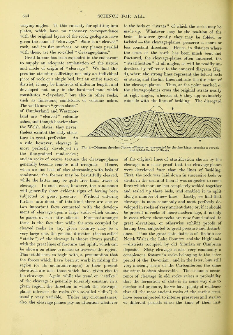 varying angles. To this capacity for siplitting into plates, which have no necessary correspondence with the original layers of the rock, geologists have given the name of cleavage. Slate is a cleaved I'ock, and its flat surfaces, or any planes parallel with these, are the so-called  cleavage-planes. Great labour has been expended in the endeavour to supply an adequate explanation of the nature and mode of origin of  cleavage. We find this peciiliar sti'ucture affecting not only an individual piece of rock or a single bed, but an entire tract or district, it may be hundreds of miles in length, and developed not only in the hardened mud which constitutes  clay-slate, but also in other rocks, such as limestone, sandstone, or volcanic ashes. The well-known green slates of Cumberland and Westmor- land are  cleaved  volcanic ashes, and though heavier than the Welsh slates, they never- theless exhibit the slaty struc- ture in great perfection. As a rule, however, cleavage is most perfectly developed in the fine-grained mud-rocks; and in rocks of coarse texture the cleavage-planes generally become remote and irregular. Hence, when we find beds of clay alternating with beds of .sandstone, the former may be beautifully cleaved, while the latter may be quite free from traces of cleavage. In such cases, however, the sandstones will generally show evident signs of having been subjected to great pressure. Without entering further into details of this kind, there are one or two important facts connected with the develop- ment of cleavage upon a large scale, which cannot be passed over in entire silence. Eoremost amongst these is the fact that while the area occupied by cleaved rocks in any given countiy may be a very large one, the general direction (the so-called  strike ) of the cleavage is almost always parallel with the great lines of fracture and uplift, which can be shown on other evidence to traverse the region. This establishes, to begin with, a presumption that the forces which have been at work in raising the region (or its mountain-ranges) to their present elevation, are also those which have given rise to the cleavage. Again, while the trend or  strike  of the cleavage is generally tolerably constant in a given region, the direction in which the cleavage- planes intersect the rocks (the so-called  dip ) is usually very variable. Under any cii'cumstances, also, the cleavage-planes pay no attention whatever to the beds or  strata  of which the rocks may be made up. Whatever may be the position of the beds — however greatly they may be folded or twisted — the cleavage-planes preserve a more or less constant direction. Hence, in districts where the crust of the earth has been much bent and fractured, the cleavage-planes often intersect the  stratification  at all angles, as will be readily un- derstood by reference to the annexed diagram (Fig. 4), where the strong lines represent the folded beds or strata, and the fine Lines indicate the direction of the cleavage-planes. Thus, at the point marked a, the cleavage-planes cross the original strata nearly at right angles, whereas at b they appx'oximately coincide with the lines of bedding. The disregard Fig. 4.—^Diagram showing Cleavage-Planes, as represented by tlie fine Lines, crossing a curved and folded Series of Strata. of the original lines of stratification shown by the cleavage is a clear proof that the cleavage-planes were developed later than the lines of bedding. First, the rock was laid down in successive beds or strata in the sea, and then it was subjected to some force which more or less completely welded together and sealed up these beds, and enabled it to split along a number of new lines. Lastly, we find that cleavage is most commonly and most perfectly de- veloped in rocks of very ancient date; or, if it should be present in rocks of more modern age, it is only in cases where these rocks are now fo\md raised to great elevations, or otherwise exhibit proofs of having been subjected to great pressui'e and disturb- ance. Thus the great slate-districts of Britain are North Wales, the Lake Country, and the Highlands —districts occupied by old Silurian or Cambrian deposits. Slaty cleavage is also very commonly a conspicuous feature in rocks belonging to the later period of the Devonian; and in the later, but still very ancient, series of the Carboniferous the same structure is often observable. The common occur- rence of cleavage in old rocks raises a probability that the formation of slate is in some way due to mechanical pressure, for we have plenty of evidence that all the more ancient rocks of the earth's crust have been subjected to intense pressures and strains '>t different periods since the time of their first
