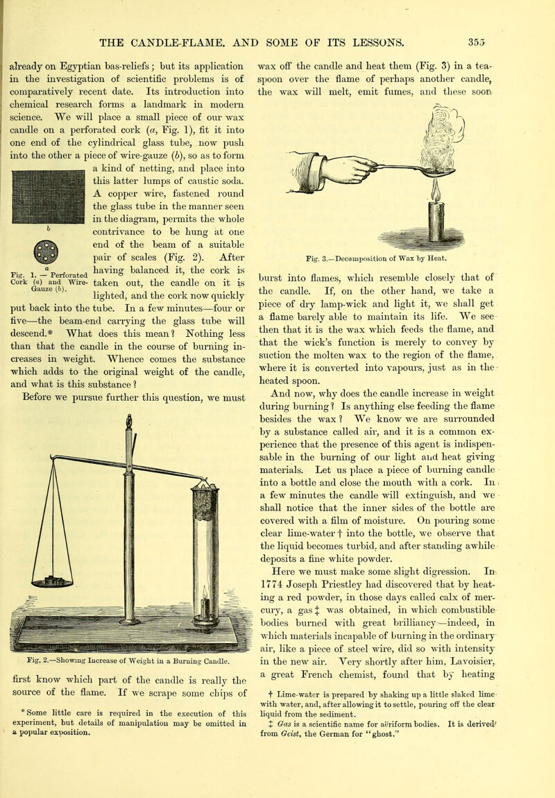 already on Egyptian bas-reliefs; but its application ill the investigation of scientific problems is of comparatively recent date. Its introduction into chemical research forms a landmark in modern science. We will place a small piece of our wax candle on a perforated cork (a, Fig. 1), fit it into one end of the cylindi-ical glass tube, now j^ush into the other a piece of wire-gauze (6), so as to form a kind of netting, and place into this latter lumps of caustic soda. A copper wire, fastened round the glass tube in the manner seen in the diagram, permits the whole contrivance to be hung at one end of the beam of a suitable pau- of scales (Fig. 2). After having balanced it, the cork is wax ofi the candle and heat them (Fig. 3) in a tea- spoon over the flame of perhaps another candle, the wax will melt, emit fumes, and these soon Pii 1. — Perforated Cork (a) and Wire- taken out, the candle on it is Gauze (f<). _ , , ' , , . , , lighted, and the cork now quickly put back into the tube. In a few minutes—four or five—the beam-end carrying the glass tube will descend.* What does this mean? Nothing less than that the candle in the course of burning in- creases in weight. Whence comes the substance which adds to the original weight of the candle, and what is this substance 1 Before we pursue further this question, we must Fiif. 2.—Showmg Increase of Weiyht in a Buruing Candle. first know which part of the candle is really the source of the flame. If we scrape some chi])s of * Some little care is required in the execution of tins experiment, but details of manipulatiou may be omitted in a popular siposition. Fig. 3.—Decemposition of Wax by Heat. burst into flames, which resemble closely that of the candle. If, on the other hand, we take a piece of dry lamp-wick and light it, we shall get a flame barely able to maintain its life. We see then that it is the wax which feeds the flame, and that the wick's function is merely to convey by suction the molten wax to the region of the flame, where it is converted into vapours, just as in the - heated spoon. And now, why does the candle increase in weight during burning 1 Is anything else feeding the flame besides the wax 1 We know we are surrounded by a substance called air, and it is a common ex- perience that the presence of this agent is indispen- sable in the burning of our light aiid heat giving materials. Let ns place a piece of burning candle into a bottle and close the mouth with a cork. In i a few minutes the candle will extinguish, and we - shall notice that the inner sides of the bottle are covered ^vith. a film of moisture. On pouring some clear lime-water f into the bottle, we observe that the liquid becomes turbid, and after standing awhile deposits a fine white powder. Here we must make some slight digression. In 1774 Joseph Priestley had discovered that by heat- ing a red powder, in those days called calx of mer- =3^^ cury, a gas X ^vas obtained, in which combustible bodies burned with great brilliancy ^—indeed, in which materials incapable of burning in the ordinary air, like a piece of steel wire, did so with intensity in the new air. Yery shortly after him, Lavoisier, a great French chemist, found that by heating t Lime-water is prepared by shaking up a little slaked lime- with water, and, after allowing it to settle, pouring off the clear liquid from the sediment. t Gas is a scientific name for aeriform bodies. It is derived' from Geist, the German for ghost.