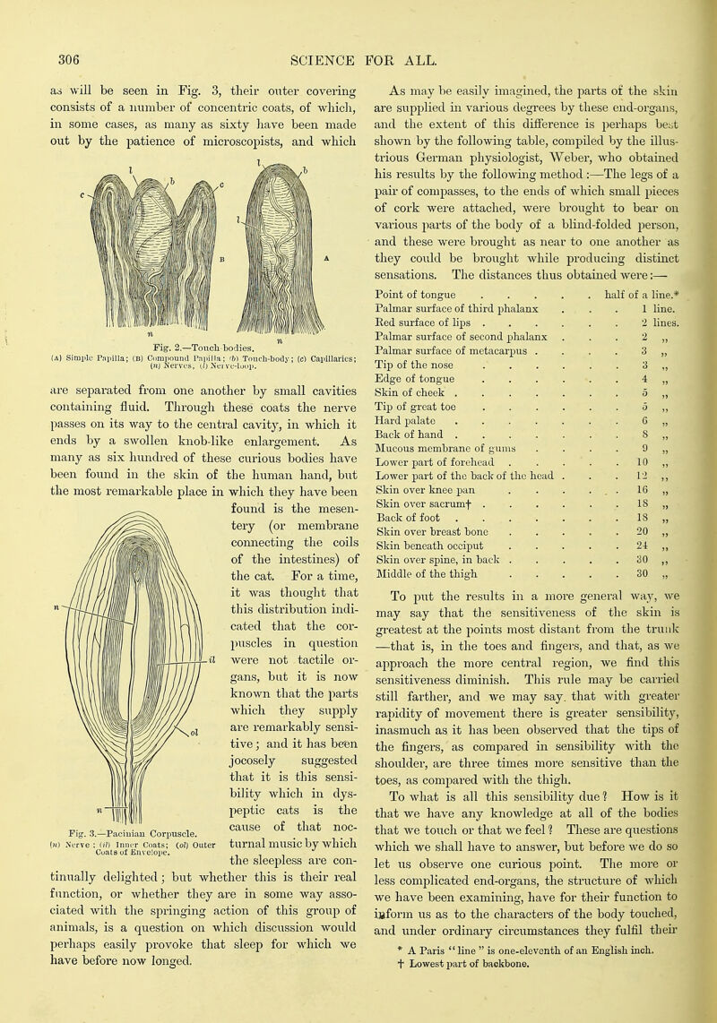 as will be seen in Fig. 3, their outer covering consists of a number of concentric coats, of whicli, in some cases, as many as sixty liave been made out by tlae patience of microscopists, and which I. Fig. 2.—Toncli-lioclies. (A) Simple Pnpilla; (u) Comimund Paiiilla; 'M Toiicli-tody; (c) Cainllarics; (n) Nerves; t,l) Neive-lumi. are separated from one another by small cavities containing fluid. Through these coats the nerve passes on its way to the central cavity, in which it ends by a swollen knob-like enlargement. As many as six hundred of these curious bodies have been found in the skin of the human hand, but the most remarkable place in which they have been found is the mesen- tery (or membrane connecting the coils of the intestines) of the cat. For a time, it was thought that this distribution indi- cated that the cor- puscles in question were not tactile or- gans, but it is now known that the parts which they siipply are remarkably sensi- tive ; and it has been jocosely suggested that it is this sensi- bility which in dys- peptic cats is the cause of that noc- turnal music by which the sleepless ai-e con- tinually delighted; but whether this is their real function, or whether they are in some way asso- ciated with the springing action of this group of animals, is a question on which discussion would perhaps easily provoke that sleep for which we have before now longed. -Paciuiau Corpuscle. (») Nerve ; lil) Inner Coats; (o!) Outer Coats of Envelope. As may be easily imagined, the parts of the skin are supplied m various degrees by these end-organs, and the extent of this difierence is perhaps best shown by the following table, compiled by the illus- trious German physiologist, Weber, who obtained his results by the following method :—The legs of a pair of compasses, to the ends of which small pieces of cork were attached, were brought to bear on various parts of the body of a blind-folded person, and these were brought as near to one another as they could be brought while producing distinct sensations. The distances thus obtained were:— Point of tongue half of a line.* Palmar surface of third phalanx ... 1 line. Red surface of lips ...... 2 lines. Palmar surface of second phalanx . . . 2 „ Palmar surface of metacarpus .... 3 „ Tip of the nose 3 ,, Edge of tongue ...... 4 „ Skin of cheek . o „ Tip of great toe 5 „ Hard palate 6 „ Back of hand ....... 8 „ ]\Iucous membrane of gums .... 9 „ Lower part of forehead . . . . . 10 ,, Lower part of the back of the head . . . 12,, Skin over knee pan . . . ... 16 „ Skin over sacrumf . . . . . . 18 „ Back of foot 18 ,, Skin over breast bone 20 ,, Skin beneath occiput . . . . . 24 ,, Skin over spine, in back 30 ,, Middle of the thigh 30 „ To put the results in a more general way, we may say that the sensitiveness of the skin is greatest at the points most distant from the trunk —that is, in the toes and fingers, and that, as we aj^proach the more central region, we find this sensitiveness diminish. This rule may be carried still farther, and we may say. that with greater rapidity of movement there is greater sensibility, inasmuch as it has been observed that the tips of the fingers, as compared in sensibility with the shoulder, are three times more sensitive than the toes, as compared with the thigh. To what is all this sensibility due 1 How is it that we have any knowledge at all of the bodies that we touch or that we feel ? These are questions which we shall have to answer, but before we do so let irs observe one curious j^oint. The more or less complicated end-organs, the stritcture of which we have been examining, have for their function to iaforra us as to the characters of the body touched, and under ordinary circumstances they fulfil their * A Paris  line  is one-eleventh of an English inch. + Lowest part of backbone.