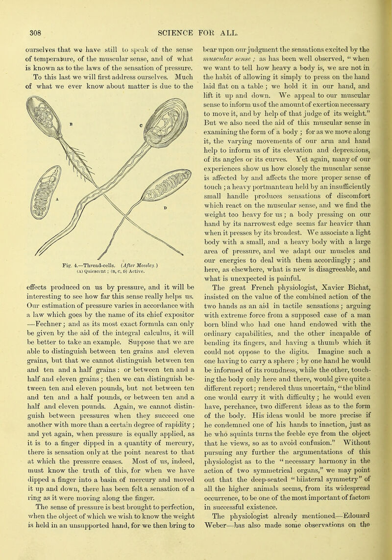 ourselves that we have still to speak of the sense of temjaera^iire, of the muscular sense, and of what is known as to the laws of the sensation of pressure. To this last we will first address ourselves. Much of what we ever know about matter is due to the Fig. 4.—Thvead-ceUs. {After Moselctj.) (A) Quiescent; (B, c, d) Active. effects produced on us by pressure, and it will be interesting to see how far this sense really helps us. Onr estimation of pressure varies in accordance with a law which goes by the name of its chief expositor —Fechner; and as its most exact formixla can only be given by the aid of the integral calculus, it will be better to take an example. Suppose that we are able to distinguish between ten grains and eleven grains, but that we cannot distinguish between ten and ten and a half grains : or between ten and a half and eleven grains; then we can distinguish be- tween ten and eleven pounds, but not between ten and ten and a half pounds, or between ten and a half and eleven pounds. Again, we cannot distin- guish between j^ressures when they succeed one another with more than a certain degree of raj^idity; and yet again, when jDressure is equally apj^lied, as it is to a finger dipped in a quantity of mercury, there is sensation only at the point nearest to that at which the pressure ceases. Most of us, indeed, must know the truth of this, for when we have dipped a finger into a basin of mercury and moved it up and down, there has been felt a sensation of a ring as it were moving along the finger. The sense of pressure is best brought to perfection, when the olyect of which we wish to know the weight is held in an unsupported hand, for we then bring to bear upon our judgment the sensations excited by the muscidm- sense ; as has been well observed,  when we want to tell how heavy a body is, we are not in the habit of allowing it simply to press on the hand laid flat on a table ; we hold it in our hand, and lift it up and down. We appeal to our muscular sense to inform us of the amount of exertion necessary to move it, and by help of that judge of its weight. But we also need the aid of this muscular sense iii examining the form of a body ; for as we mo!-e along it, the varying movements of our arm and hand help to inform us of its elevation and depressions, of its angles or its curves. Yet again, many of our experiences show us how closely the muscular sense is affected by and aflects the more proper sense of touch ; a heavy portmanteau held by an insufficiently small handle produces sensations of discomfort which react on the muscular sense, and we find the weight too heavy for us; a body pressing on our hand by its narrowest edge seems far heavier than when it presses by its broadest. AVe associate a light body with a small, and a heavy body with a large area of pressure, and we adapt our muscles and our energies to deal with them accordingly; and here, as elsewhere, what is new is disagreeable, and what is unexpected is painful. The great French physiologist, Xavier Bichat, insisted on the value of the combined action of the two hands as an aid in tactile sensations; arguing with extreme force from a supposed case of a man born blind who had one hand endowed with the ordinary capabilities, and the other incapable of bending its fingers, and having a thumb which it could not oppose to the digits. Imagine such a one having to carry a sphere ; by one hand he would be informed of its roundness, while the other, touch- ing the body only here and there, would give quite a different report; rendered thus uncertain, the blind one would carry it with difficulty; he would even have, perchance, two different ideas as to the form of the body. His ideas would be more precise if he condemned one of his hands to inaction, just as he who squints turns the feeble eye from the object that he views, so as to avoid confusion. Without pursuing any further the argumentations of this physiologist as to the necessary harmony in the action of two symmetrical organs, we may pomt out that tlie deep-seated  bilateral symmetry of all the higher animals seems, from its widespread occurrence, to be one of the most important of factoiT> in successful existence. The physiologist already mentioned:—Edouard Weber—has also made some observations on the