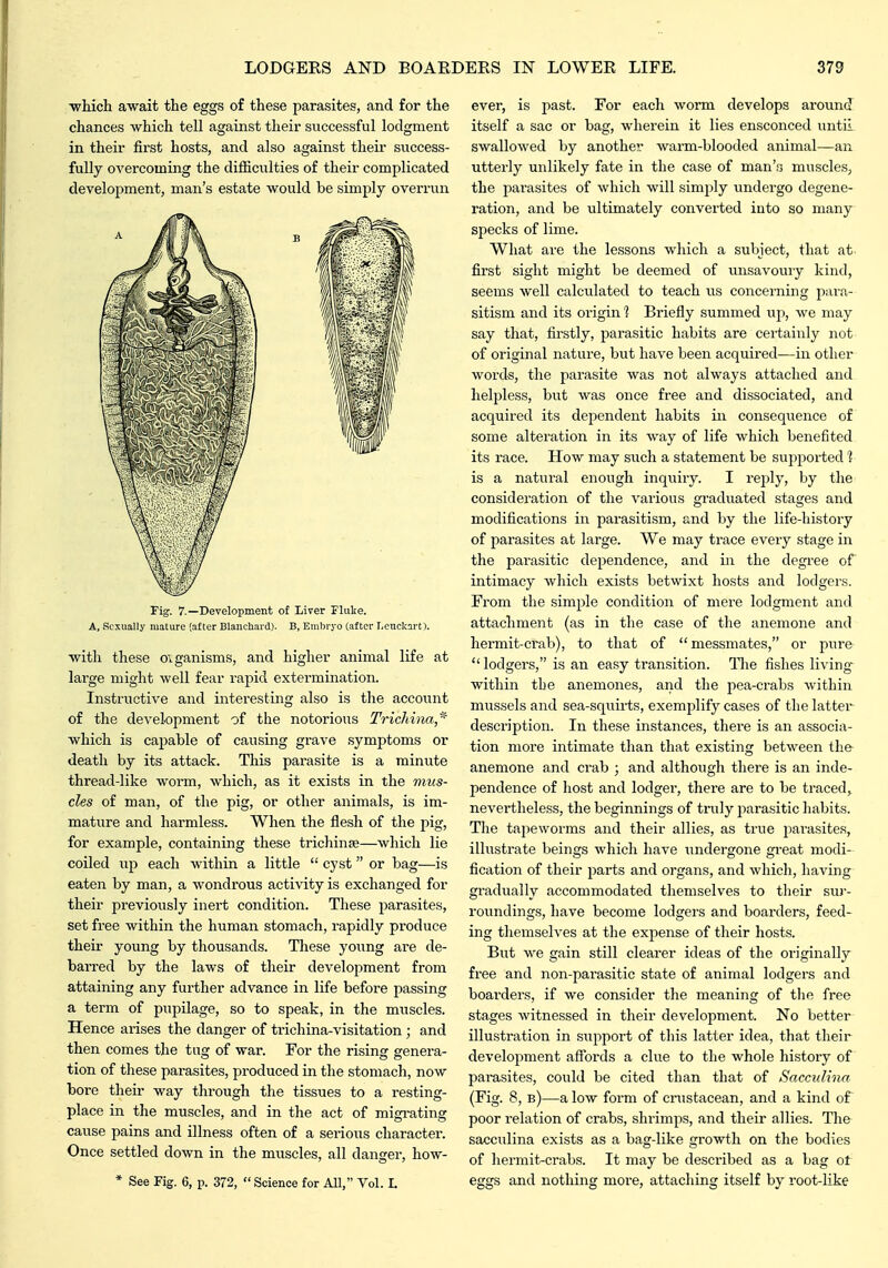 ■which await the eggs of these parasites, and for the chances which tell against their successful lodgment in their first hosts, and also against their siiccess- fully overcoming the difficulties of their complicated development, man's estate would be simply overrun rig. 7.—Development of Liver Fluke. A, Sexually mature (after Blanchard). B, Embryo (after I.cnckart). with these oiganisms, and higher animal life at large might well fear rai)id extermination. Instructive and interesting also is the account of the development of the notorious Triclihia* which is capable of causing grave symptoms or death by its attack. This parasite is a minute thread-like worm, which, as it exists in the mus- cles of man, of the pig, or other animals, is im- mature and harmless. When the flesh of the pig, for example, containing these trichinse—which lie coiled lip each within a little  cyst or bag—is eaten by man, a wondrous activity is exchanged for their previously inert condition. These parasites, set free within the human stomach, rapidly produce their young by thousands. These young are de- barred by the laws of their development from attaining any further advance in life before passing a term of pupilage, so to speak, in the muscles. Hence arises the danger of trichina-visitation; and then comes the tug of war. For the rising genera- tion of these parasites, produced in the stomach, now bore their way through the tissues to a resting- place in the muscles, and in the act of migi-ating cause pains and illness often of a serious character. Once settled down in the muscles, all danger, how- * See Fig. 6, p. 372,  Science for All, Vol. I. ever, is past. For each worm develops around itself a sac or bag, wherein it lies ensconced until swallowed by anothe?: warm-blooded animal—an utterly unlikely fate in the case of man's muscles, the parasites of which will simply undergo degene- ration, and be ultimately converted into so many specks of lime. What are the lessons which a subject, that at first sight might be deemed of unsavoiny kind, seems well calculated to teach us concerning para- sitism and its origin 1 Briefly summed up, we may say that, firstly, parasitic habits are certainly not of original nature, but have been acquired—in other word-s, the parasite was not always attached and helpless, but was once free and dissociated, and acquired its dependent habits in consequence of some alteration in its way of life which benefited its race. How may such a statement be sujiported 1 is a natural enough inqiiiry. I reply, by the consideration of the various graduated stages and modifications in parasitism, and by the life-history of parasites at large. We may ti'ace every stage in the parasitic dependence, and in the degree of intimacy which exists betwixt hosts and lodgers. From the simple condition of mere lodgment and attachment (as in the case of the anemone and hermit-crab), to that of messmates, or pure lodgers, is an easy transition. Hie fishes living- within the anemones, and the pea-crabs within mussels and sea-squirts, exemplify cases of the latter description. In these instances, there is an associa- tion more intimate than that existing between th& anemone and crab ; and although there is an inde- pendence of host and lodger, there are to be traced, nevertheless, the beginnings of truly 2:)arasitic habits. The tapeworms and their allies, as true parasites, illustrate beings which have iindergone gi-eat modi- fication of their parts and organs, and which, having gradually accommodated themselves to their sur- roundings, have become lodgers and boarders, feed- ing themselves at the expense of their hosts. But we gain still clearer ideas of the originally free and non-parasitic state of animal lodgers and boarders, if we consider the meaning of the free stages witnessed in their development. No better illustration in support of this latter idea, that their development affords a clue to the whole history of parasites, could be cited than that of Sacculma (Fig. 8, b)—a low form of crustacean, and a kind of poor relation of crabs, shrimps, and their allies. The sacculina exists as a bag-like growth on the bodies of hermit-crabs. It may be described as a bag ot eggs and nothing more, attaching itself by root-like