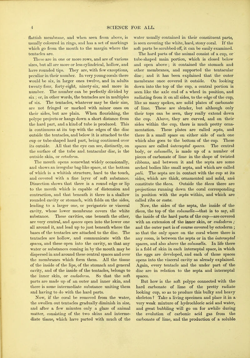 flattish membrane, and when seen from above, is usually coloured in rings, and has a set of markings which go from the mouth to the margin where the tentacles are. These are in one or more rows, and are of various sizes, but all are moi'e or less cylindi'ical, hollow, and have rounded tips. They are, with few exceptions, peculiar in their number. In very young corals there would be six, in larger ones twelve, and in adults twenty-four, forty-eight, ninety-six, and more in number. The number can be pei-fectly divided by six; or, in other words, the tentacles are in multiples of six. The tentacles, whatever may be their size, are not fringed or marked with minor ones on their sides, but are plain. When flourishing, the polype pi'ojects or hangs down a short distance fi-om the hard part, and a kind of tube is produced. This is continuous at its top with the edges of the disc outside the tentacles, and below it is attached to the cup or tube-shaped hard part, being continued over its outside. All that the eye can see, distinctly, on the surface of the tube and tentacular disc, is the outside skin, or ectoderm. The mouth opens somewhat widely occasionally, and shows an irregular bag-like space, at the bottom of which is a whitish structure, hard to the touch, and covered with a fine layer of soft substance. Dissection shows that there is a round edge or lip to the mouth which is capable of distension and contraction, and that beneath it there is a shallow rounded cavity or stomach, with folds on the sides, leading to a larger one, or perigastric or visceral cavity, whose lower membrane covers the white substance. These cavities, one beneath the other, are very central, and sjxtces open into the lower one all around it, and lead up to just beneath where the bases of the tentacles are attached to the disc. The tentacles are hollow, and communicate with the spaces, and these open into the cavity, so that any water or substances coming in by the mouth may be dispersed in and around these central spaces and over the membranes which form them. All the tissue of the inside of the lips, of the stomach and general cavity, and of the inside of the tentacles, belongs to the inner skin, or endoderm. So that the soft parts are made up of an outer and inner skin, and there is some intermediate substance uniting them and having to do with the hard parts. Now, if the coral be removed from the water, the swollen out tentacles gi-adually diminish in size, and after a few minutes only a glaze of animal matter, consisting of the two skins and interme- diate tissue, which have parted with much of the water usually contained in their constituent parts, is seen covering the white, hard, stony coral. If the soft parts be scrubbed off, it can be easily examined. The hard parts of the animal consist of a cup, or tube-shaped main portion, which is closed below and open above; it contained the stomach and other membranes, and supported the tentacular disc; and it has been explained that the outer membrane once covered it outside. On looking down into the top of the cup, a central portion is seen like the axle end of a wheel in position, and radiating fi'om it on all sides, to the edge of the cup, like so many spokes, are solid plates of cai-bonate of lime. These are slender, but although only their tops can be seen, they really extend down the cup. Above, they are curved, and on their sides within the cup, there is much pretty orna- mentation. These plates are called septa, and there is a small space on either side of each one which also goes to the bottom of the cup. These spaces are called interseptal spaces. The central body, or columella, is made up of a number of pieces of carbonate of lime in the shape of twisted ribbons, and between it and the septa are some arched bodies like small septa, and which are called jmli. The septa are in contact with the cup at its sides, which are thick, ornamented and solid, anci constitute the tMca. Outside the theca there are projections running down the coral corresponding in position with the septa within, and which are called ribs or costce. Now, the sides of the septa, the inside of the tlieca, the top of the columella—that is to say, all the inside of the hard parts of the cup—are covered with an extension of the inner skin, or endoderm ; and the outer part is of course covered by ectoderm ; so that the only space on the coral where there is any room, is between the septa or in the interseptal spaces, and also above the columella. In life there is a fold of skin in each interseptal space, in which the eggs are developed, and each of those spaces opens into the visceral cavity as already explained. Again, every tentacle and the under part of the disc are in relation to the septa and interseptal spaces. But how is the soft polype connected with the hard carbonate of lime of the pretty radiate looking cup, so as to produce this btdky and heavy skeleton % Take a living specimen and place it in a very weak mixture of hydrochloric acid and water, and great bubbling will go on for awhile during the evolution of carbonic acid gas from the carbonate of lime, and the production of a soluble