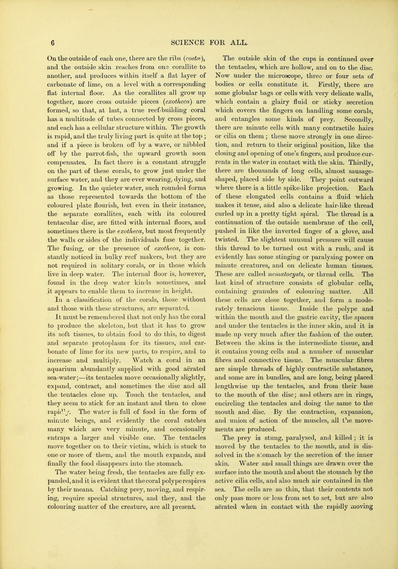 On the outside of each one, thei'e are the ribs {costcv), and the outside skin reaches from one corallite to another, and produces within itself a flat layer of carbonate of lime, on a level with a corresponding flat internal floor. As the corallites all grow up together, more cross outside pieces {exotheca) are formed, so that, at last, a true reef-building coral has a multitude of tubes connected by cross pieces, and each has a cellular structure within. The growth is rapid, and the tridy living part is quite at the top ; and if a piece is broken off by a wave, or nibbled ofi by the parrot-fish, the upward growth soon compensates. In fact there is a constant struggle on the 2)ai't of these corals, to grow just under the surface water, and they are ever wearing, dying, and growing. In the quieter water, such rounded forms as those represented towards the bottom of the coloured plate flourish, but even in their instance, the separate corallites, each with its coloured tentacular disc, are fitted with internal floors, and sometimes there is the exotheca, but most frequently the walls or sides of the individuals fuse together. The fusing, or the presence of exotheca, is con- stantly noticed m bulky reef makers, but they are not required in solitary corals, or in those which live ill deep water. Tlie internal floor is, however, found in the deep water kinds sometimes, and it appears to enable them to increase in height. In a classification of the corals, those without and those with these structures, are separated. It must be remembered that not only has the coral to produce the skeleton, but that it has to grow its soft tissues, to obtain food to do this, to digest and separate protoplasm for its tissues, and car- bonate of lime for its new parts, to respire, and to increase and multiply. Watch a coral in an aquarium abundantly supplied with good aerated sea-water;—its tentacles move occasionally slightly, expand, contract, and sometimes the disc and all the tentacles close up. Touch the tentacles, and they seem to stick for an instant and then to close rapic^'y. The water is full of food in the form of militate beings, and evidently the coral catches many which are very minute, and occasionally entraps a larger and visible one. The tentacles move together on to their victim, which is stuck to one or more of them, and the mouth expands, and finally the food disappears into the stomach. The water being fresh, the tentacles are fully ex- panded, and it is evident that the coral polype resjures by their means. Catching prey, moving, and respir- ing, require special structures, and they, and the colouring matter of the creature, are all present. The outside skin of the cups is continued over the tentacles, which are hollow, and on to the disc. Now under the microscope, three or four sets of bodies or cells constitute it. Firstly, there are some globular bags or cells with very delicate walls, which contain a glairy fluid or sticky secretion which covers the fingers on handling some corals, and entangles some kinds of prey. Secondly, there are minute cells with many contractile hairs or cilia on them; these move strongly in one direc- tion, and return to their original position, like the closing and opening of one's fingers, and produce cur- rents in the water in contact with the skin. Thirdly, there are thousands of long cells, almost sausage- shaped, placed side by side. They point outward where there is a little spike-like projection. Each of these elongated cells contains a fluid which makes it tense, and also a delicate hair-like thread curled up in a pretty tight spiral. The thread is a continuation of the outside membrane of the cell, pushed in like tlie inverted finger of a glove, and twisted. The slightest unusual pressure will cause this thread to be turned out with a rush, and it evidently has some stinging or paralysing power on minute creatures, and on delicate human tissues. These are called nematocysts, or thi'ead cells. The last kind of structure consists of globular cells, containing granules of colouring matter. All these cells are close together, and form a mode- rately tenacious tissue. Inside the polype and within the mouth and the gastric ca\'ity, the spaces and under the tentacles is the inner skin, and it is made up very much after the fashion of the outer. Between the skins is the intermediate tissue, and it contains young cells and a number of muscular fibres and connective tissue. The muscular fibres are simple threads of highly contractile substance, and some are in bundles, and are long, being placed lengthwise up the tentacles, and from their base to the mouth of the disc; and others are in rings, encircling the tentacles and doing the same to the mouth and disc. By the contraction, expansion,- and union of action of the muscles, all the move- ments are produced. The prey is stung, paralysed, and killed ; it is moved by the tentacles to the mouth, and is dis- solved in the siomach by the secretion of the inner skin. Water and small things are drawn over the surface into the mouth and about the stomach by the active cilia cells, and also much air contained in the sea. The cells are so thin, that their contents not only pass more or less from set to set, but are also aerated when in contact with the rapidly moving