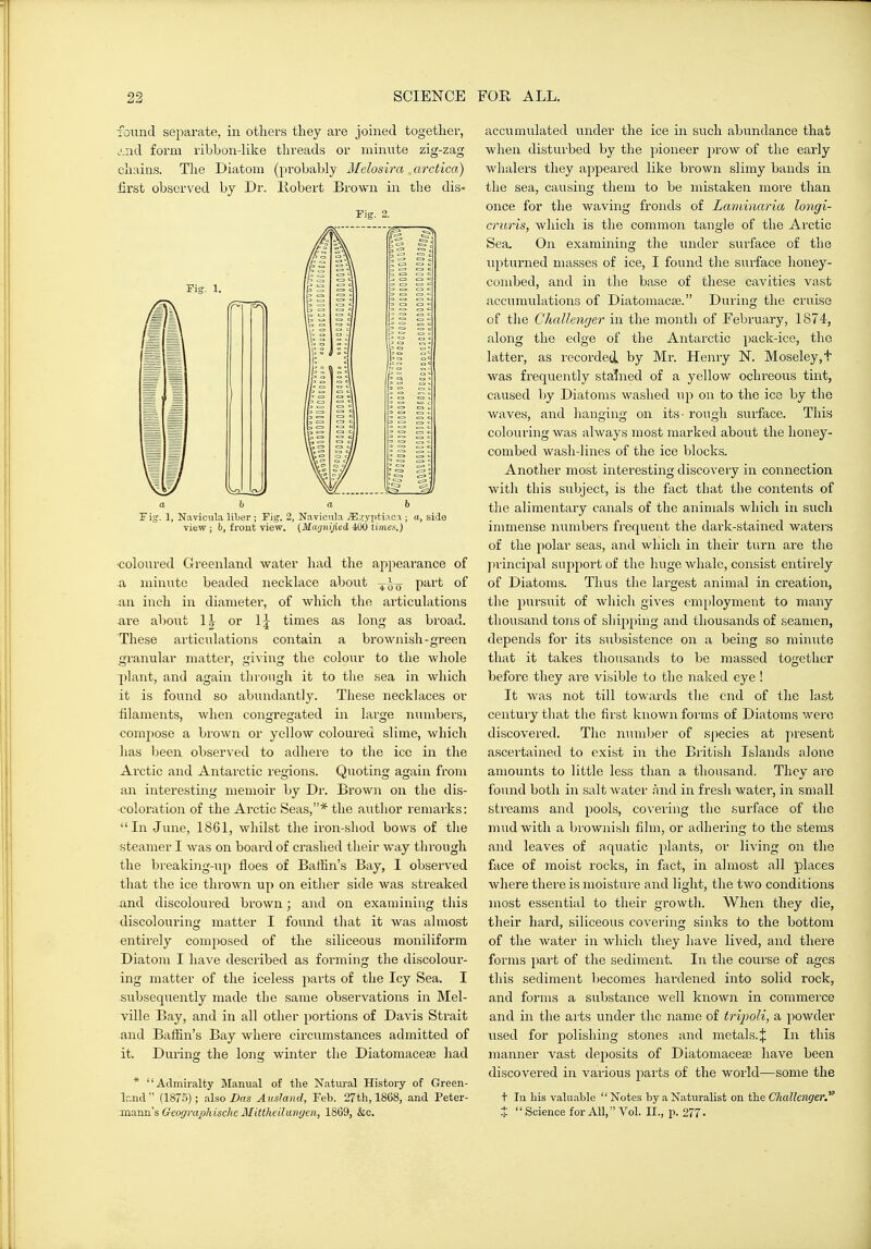 found separate, in others they are joined together, j.nd form ribbon-like threads or minute zig-zag chains. The Diatom (probably Melosira arctica) first observed by Dr. liobert Brown in the dis- Fig. 2. ah ah Fig. 1, Navicula liljer ; Fig. 2, Navicula .ffi^yptiacx ; a, side view; h, front view. (Magnijied, 400 times.) •coloured Greenland water had the appearance of .a minute beaded necklace about part of An inch in diameter, of which the articulations are about 1| or 1^ times as long as broad. These articulations contain a brownish-green gi'anular matter, giving the colour to the whole plant, and again through it to the .sea in which it is found so abundantly. These necklaces or ^filaments, when congregated in lai-ge numbers, compose a brown or yellow coloured slime, which has been observed to adhere to the ice in the Arctic and Antarctic regions. Quoting again from an interesting memoir by Dr. Brown on the dis- coloration of the Arctic Seas,* the author remarks: In -June, 1861, whilst the iron-shod bows of the steamer I was on board of crashed their way through the breaking-up floes of Baffin's Bay, I observed that the ice thrown up on either side was streaked and discoloured brown; and on examining this discolouring matter I foiind that it was almost entirely composed of the siliceous moniliform Diatom I have described as forming the discolour- ing matter of the iceless parts of the Icy Sea. I subsequently made the same observations in Mel- ville Bay, and in all other portions of Davis Strait and Baffin's Bay where circximstances admitted of it. During the long winter the Diatomacese had * Admiralty Manual of the Natural History of Green- land (1875); also Dns Ausland, Feb. 27th, 18G8, and Peter- -maxin&G-eographische Mittheilungen, 1869, &c. accumulated under the ice in such abundance that when disturbed by the pioneer prow of the early whalers they appeared like brown slimy bands in the sea, causing them to be mistaken more than once for the waving fronds of Laminaria longi- cru7'is, which is the common tangle of the Ai'ctic Sea. On examining the under surface of the upturned masses of ice, I found the siirface honey- combed, and in the base of these cavities vast accumulations of Diatomacse. During the cruLse of the Challenger in the month of February, 1874, along the edge of the Antarctic pack-ice, the latter, as recorded by Mr. Henry N. Moseley,t was frequently stained of a yellow ochreous tint, caused by Diatoms washed up on to the ice by the waves, and hanging on its • rough surface. This colouring was always most marked about the honey- combed wash-lines of the ice blocks. Another most interesting discovery in connection with this subject, is the fact that tlie contents of the alimentary canals of the animals which in such immense numbers frequent the dark-stained waters of the polar seas, and which in their turn are the principal support of the huge whale, consist entirely of Diatoms. Thus the largest animal in creation, the ])ursuit of which gives cmi)loyment to many thousand tons of sliijiping and thousands of seamen, depends for its subsistence on a being so minute that it takes thousands to be massed together before they ai'e visible to the naked eye ! It was not till towards the end of the la.st century that the first known forms of Diatoms were discovered. The iiumber of sjiecies at present ascertained to exist in the British Islands alone amounts to little less than a thousand. They are found both in salt water and in fresh water, in small streams and pools, covering the surface of the mud with a brownish film, or adhering to the stems and leaves of aquatic plants, or living on the face of moist rocks, in fact, in almost all places where there is moisture and light, the two conditions most essential to their growth. When they die, their hard, siliceous covering sinks to the bottom of the water in which they have lived, and there forms part of the sediment. In the course of ages this sediment becomes hardened into solid rock, and forms a substance well known in commerce and in the arts under the name of tripoli, a powder used for polishing stones and metals.J In this manner vast deposits of Diatomacese have been discovered in various 2:)arts of the world—some the t In his valuable Notes by a Naturalist on the Challenger. X Science for All, Vol. II., p. 277.