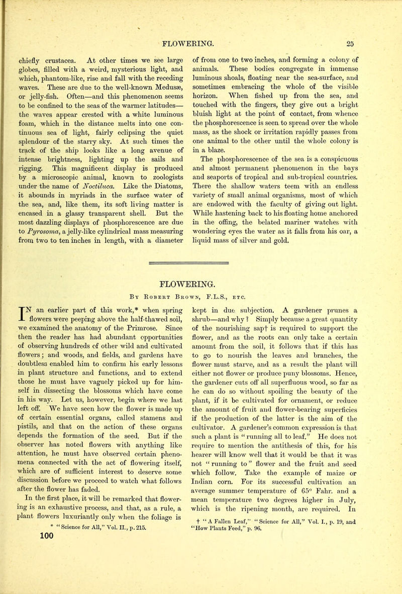 cMefly Crustacea. At other times we see large globes, filled with a weird, mysterious light, and which, phantom-like, rise and fall with the receding waves. These are due to the well-known Medusae, or jelly-fish. Often—and this phenomenon seems to be confined to the seas of the warmer latitudes— the waves appear crested with a white luminous foam, which in the distance melts into one con- tinuous sea of light, fairly eclipsing the quiet splendour of the starry sky. At such times the track of the ship looks like a long avenue of intense brightness, lighting up the sails and rigging. This magnificent display is produced by a microscopic animal, known to zoologists under the name of Noctiluca. Like the Diatoms, it abounds in myriads in the surface water of the sea, and, like them, its soft living matter is encased in a glassy transparent shell. But the most dazzling displays of phosphorescence are due to Pyrosoma, a jelly-like cylindrical mass measuring from two to ten inches in length, with a diameter of from one to two inches, and forming a colony of animals. These bodies congregate in immense luminous shoals, floating near the sea-surface, and sometimes embracing the whole of the visible horizon. When fished up from the sea, and touched with the fingers, they give out a bright bluish light at the point of contact, from whence the phosphorescence is seen to spread over the whole mass, as the shock or irritation raj^idly passes from one animal to the other until the whole colony is in a blaze. The phosphorescence of the sea is a conspicuous and almost permanent phenomenon in the bays and seaports of tropical and sub-troj^ical countries. There the shallow waters teem with an endless variety of small animal organisms, most of which are endowed with the faculty of giving out light. While hastening back to his floating home anchored in the offing, the belated mariner watches with wondering eyes the water as it falls from his oar, a liquid mass of silver and gold. FLO WEEING. By Robert Brown, F.L.S., etc. IN an earlier part of this work,* when spring flowers were peeping above the half-thawed soil, we examined the anatomy of the Primrose. Since then the reader has had abundant opportunities of observing hundreds of other wild and cultivated flowers; and woods, and fields, and gardens have doubtless enabled him to confirm his early lessons in plant structure and functions, and to extend those he must have vaguely picked up for him- self in dissecting the blossoms which have come in his way. Let us, however, begin where we last left off. We have seen how the flower is made up of certain essential organs, called stamens and pistils, and that on the action of these oi'gans depends the formation of the seed. But if the observer has noted flowers with anything like attention, he must have observed certain pheno- mena connected with the act of flowering itself, which are of sufficient interest to deserve some discussion before we proceed to watch what follows after the flower has faded. In the first place, it will be remarked that flower- ing is an exhaustive process, and that, as a rule, a plant flowers luxuriantly only when the foliage is *  Science for All, Vol. II., p. 215. 100 kept in due subjection. A gardener prunes a shrub—and why 1 Simply because a great quantity of the nourishing sapf is required to support the flower, and as the roots can only take a certain amount from the soil, it follows that if this has to go to nourish the leaves and branches, the flower must starve, and as a result the plant will either not flower or produce puny blossoms. Hence, the gardener cuts off all superfluous wood, so far as he can do so without spoiling the beauty of the plant, if it be cultivated for ornament, or reduce the amount of fruit and flower-bearing superficies if the production of the latter is the aim of the cultivator. A gardener's common expression is that such a plant is  running all to leaf. He does not require to mention the antithesis of this, for his hearer will know well that it would be that it was not  running to flower and the fruit and seed which follow. Take the example of maize or Indian corn. For its successful cultivation an average summer temperature of 6.5 Fahr. and a mean temperature two degrees higher in July, which is the rijiening month, are required. In t  A Fallen Leaf, Science for All, Vol. I., p. 19, and How Plants Feed, p. 96.