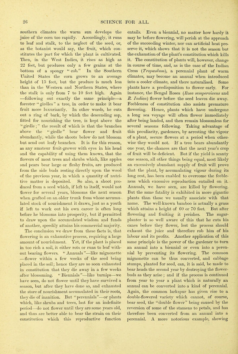 southern climates the warm sun develops the juice of the corn too rapidly. Accordingly, it runs to leaf and stalk, to the neglect of the seed, or, as the botanist would say, the fruit, which con- stitutes the part for which the plant is cultivated. Then, in the West Indies, it rises as high as 22 feet, but produces only a few grains at the bottom of a spongy  cob. In the Southern United States the corn grows to an average height of 15 feet, but the produce is much less than in the Western and Northern States, where the stalk is only from 7 to 10 feet high. Again —^following out exactly the same principle—a forester girdles a tree, in order to make it bear fi-uit more luxuriantly. In other words, he cuts out a ring of bai'k, by which the descending sap, fitted for nourishing the tx'ee, is kept above the •' girdle ;  the result of which is that the branches above the  girdle bear flower and fruit abundantly, while the shoots below do not blossom but send out leafy branches. It is for this reason, as any amateur fruit-grower with eyes in his head and the capability of using them knows, that the flowers of most trees and shrubs wliicli, like apples and pears bear large or fleshy fruits, are produced from the side buds resting directly upon the wood of the previous year, in which a quantity of nutri- tive matter is deposited. So also, a shoot pro- duced from a seed which, if left to itself, would not flower for several years, blossoms the next season when grafted on an older trunk from whose accumu- lated stock of nourishment it draws, just as a youth if left to work out his own career is often long before he blossoms into prosperity, but if permitted to draw upon the accumulated wisdom and funds of another, speedily attains his commercial majority. The conclusion we draw from these facts is, that flowering is an exhaustive process, requiring a large amount of noui'ishment. Yet, if the plant is placed in too rich a soil, it either rots or mns to leaf with- out bearing flowers.  Annuals —like mignonette —flower within a few weeks of the seed being placed in the soil; hence they are so soon exhausted in constitution that they die away in a few weeks after blossoming.  Biennials —like turnips—we have seen, do not flower until they have survived a season, but after they have done so, and exhausted the store of nourishment accumulated in their roots, they die of inanition. But perennials—or plants which, like shrubs and trees, last for an indefinite period—do not flower until they are some years old, and thus are better able to bear the strain on tlieir constitution which this reproductive fmiction entails. Even a biennial, no matter how hardy it may be before flowering, will perish at the approach of the succeeding winter, nor can artificial heat pre. serve it, which shows that it is not the season but the exhaustion of the plant's constitution which kills it. The constitution of plants will, however, change in course of time, and, as is the case of the Indian Cress {Tro2:>oeolum), a perennial plant of warm climates, may become an annual when introduced into a cooler climate, and there naturalised. Some plants have a predisposition to flower early. For - instance, the Bengal Roses {Rosa semjjervivens and R. Indica) flower before the seed leaves die away. Feebleness of constitution also assists premature flowering. Hence, plants which have undergone a long sea voyage will often flower immediately after being landed, and then remain blossomless for several seasons following. Taking advantage of this peculiarity, gardeners, by arresting the vigour of a plant, secure flowers at a period when other- wise they would not. If a tree bears abundantly one year, the chances are that the next year's crop of fruit will be deficient. But if the yield is scanty one season, all other thmgs being equal, most likely an excessively abundant supply of fruit will pi'ove that the plant, by accumulating vigour during its long rest, has been enabled to overcome the feeble- ness which excessive reproduction entailed on it. ■ Annuals, we have seen, are killed by flowering. But the same fatality is exhibited in more gigantic plants than those we usually associate with that name. The well-known bamboo is actually a grass which attains a height of 60 or 70 feet. But after flowering and fruiting it perishes. The sugar- planter is so well aware of this that he cuts his canes before they flower, lest the process should exhaust the juice and therefore rob him of his labour and its profits. Another application of this same principle is the power of the gardener to turn an annual into a biennial or even into a peren- nial by preventing its flowering. The common mignonette can be thus converted, and cabbage stumps, planted for seed, can, it is said, be made to bear heads the second year by destroying the flower- buds as they arise; and if the jDrocess is continued from year to year a plant which is naturally an annual can be converted into a kind of perennial. Again, the common larkspur has given rise to a double-flowered variety which cannot, of course, bear seed, the double flower being caused by the reversion of some of the stamens to petals, and has therefore been converted from an annual into a perennial. A more notorious example, showing