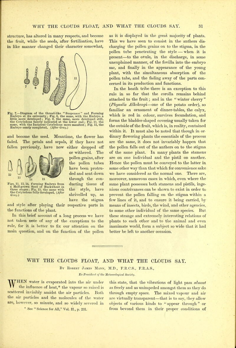 structure, has altered in many respects, and become the fruit, while the seeds, after fertilisation, have in like manner changed their character somewhat, Fig. 7.—Diagram of the thread-like  Suspeusor and Forming Embryo at Its extremity; Fig. 8, the same, with the Embryo a little more developed; Fig. 9, the same, more developed still, the Cotyledons faintly indicated at the lower end; Fig. 10, the same, with the Incipient Cotyledons more manifest; Fig. 11, the Embryo nearly completed, {After Gray.) and become the seed. Meantime, the flower has faded. The petals and sepals, if they have not fallen previously, have now either dropped off or withered. The pollen grains, after the pollen tubes have been protru- ded and sent down through the con- ducting tissue of the style, have shrivelled up, as have the stigma respective pax'ts in Figs. 12, 13, 14, Forming Embryo from a Half-grown Seed of Buckwheat in three stages ; Fig. 15, the same with the Cotyledons fully developed. {After Gray.) and style after playing their the functions of the plant. In this brief account of a long process we have not taken note of any of the exceptions to the rule, for it is better to fix our attention on the main question, and on the function of the pollen as it is displayed in the great majority of plants. This we have seen to consist in the anthers dis- charging the pollen grains on to the stigma, in the pollen tube penetrating the style — when it is present—to the ovule, in the discharge, in some unexplained mamier, of the fovilla into the embryo sac, and finally in the appearance of the young plant, with the simultaneous absoi-ption of the pollen tube, and the fading away of the parts con- cerned in its production and functions. In the heath tribe there is an exception to this rule in so far that the corolla remains behind attached to the fruit ] and in the  winter cherry  {Physalts Alkeketigi—one of the potato order), so familiar an ornament of dinner-tables, the calyx, which is red in colour, survives fecundation, and forms the bladder-shaped covering usually taken for the outside of the fruit, which is, in reality, contained within it. It must also be noted that though in or- dinary flowering plants the essentials of the process are the same, it does not invariably happen that the pollen falls out of the anthers on to the stigma of the same plant. In many plants the stamens are on one individual and the pistil on another. Hence the pollen must be conveyed to the latter in some other way than that which for convenience sake we have considered as the normal one. There are, moreover, numerous cases in which, even where the same plant possesses both stamens and pistils, inge- nious contrivances can be shown to exist in order to prevent the pollen falling on the stigma within a few lines of it, and to ensure it being carried, by means of insects, birds, the wind, and other agencies, to some other individual of the same species. But these strange and extremely interesting relations of plants to each other and to the animal and even inanimate world, form a subject so wide that it had better be left to another occasion. WHY THE CLOUDS FLOAT, Al^D WHAT THE CLOUDS SAY. By Egbert James Mann, M.D., F.E.C.S., F.E.A.S., Hx-Fresiient of the Meteorolofjical Society. WHEN water is evaporated into the air under the influence of heat,* the vapour so raised is scattered invisibly amidst the air particles. Botli the air particles and the molecules of the water are, however, so minute, and so widely severed in * See Science for All, Vol. II., p. 231. this state, that the vibrations of light pass almost as freely and as unimpeded amongst them as they do through empty space. The mixed vapour and air are virtually transparent—that is to say, they allow objects of various kinds to  appear through  or from bevond them in their proper conditions of