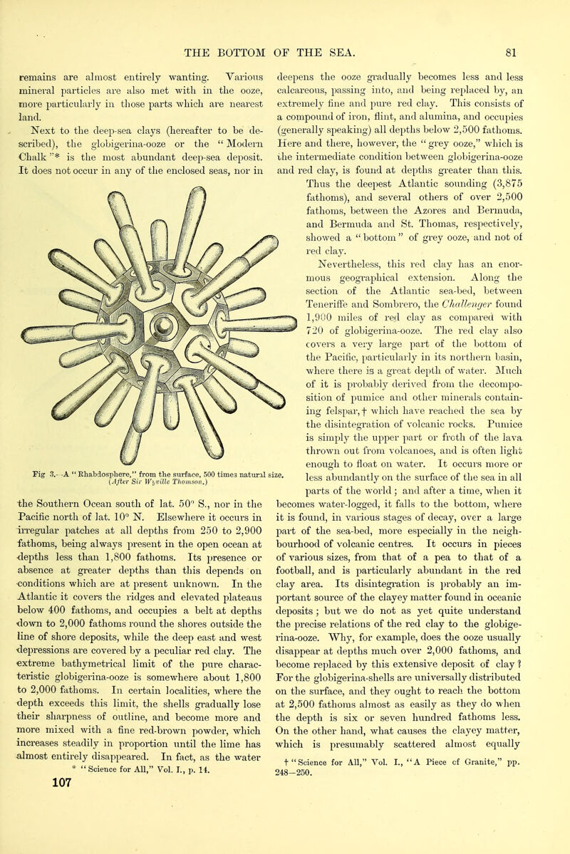 remains are almost entirely wanting. VarioTis minei'al particles are also met with in the ooze, more particularly in those parts which are nearest land. Next to the deep-sea clays (hereafter to be de- scribed), the globigerina-ooze or the  Modern Chalk is the most abundant deep-sea deposit. It does not occur in any of the enclosed seas, nor in 7f Pig 3.- -A  Rhabdospliere, from the surface, 500 times natirral si [Aftar Sir WijVillc Thomson.} the Southei-n Ocean south of lat. 50 S., nor in the Pacific north of lat. 10 N. Elsewhere it occurs in irregular patches at all depths from 250 to 2,900 fathoms, being always present in the open ocean at ■depths less than 1,800 fathoms. Its presence or absence at greater depths than this depends on ■conditions which are at present unknown. In the Atlantic it covers the ridges and elevated plateaus below 400 fathoms, and occupies a belt at depths down to 2,000 fathoms round the shores outside the line of shore deposits, while the deep east and west ■depressions are covered by a peculiar red clay. The extreme bathymetrical limit of the pure charac- teristic globigerina-ooze is somewhere about 1,800 to 2,000 fathoms. In certain localities, where the depth exceeds this limit, the shells gradually lose their sharpness of outline, and become more and more mixed with a fine red-brown powder, which increases steadily in proportion until the lime has almost entirely disappeared. In fact, as the water *  Science for All, Vol. I., p. 14. 107 deepens the ooze gradually becomes less and less calcareous, passing into, and being replaced by, an extremely line and pure red clay. This consists of a compound of iron, flint, and alumina, and occupies (generally speaking) all depths below 2,500 fathoms. Here and there, however, the  grey ooze, which is the intermediate condition between globigerina-ooze and red clay, is found at depths greater than this. Thus the deepest Atlantic sounding (3,875 fathoms), and several others of over 2,500 fathoms, between the Azores and Bermuda, and Bermuda and St. Thomas, respectively, \ showed a  bottom  of grey ooze, and not of red clay. Nevertheless, this red clay has an enor- mous geographical extension. Along the section of the Atlantic sea-bed, between Tenerifie and Sombrero, the Challenger found '^ 1,900 miles of red clay as compared with 720 of globigerina-ooze. The red clay also covers a very large part of the bottom of the Pacific, particulai-ly in its northern ba,sin, where there is a great depth of watei'. jMuch of it is probably derived from the decompo- ^ sition of pumice and other minerals contain- ing felspar, f which have reached the sea by the disintegration of volcanic rocks. Pumice is simply the upper part or froth of the lava thrown out from volcanoes, and is often light enough to float on water. It occurs more or less abundantly on the surface of the sea in all parts of the Avorld; and after a time, when it becomes water-logged, it falls to the bottom, where it is found, in various stages of decay, over a large Tjyavt of the sea-bed, more especially in the neigh- bourhood of volcanic centres. It occurs in pieces of various sizes, from that of a pea to that of a football, and is particularly abundant in the red clay area. Its disintegx'ation is probably an im- portant source of the clayey matter found in oceanic deposits ; but we do not as yet quite understand the precise relations of the red clay to the globige- rina-ooze. Why, for example, does the ooze usually disappear at depths much over 2,000 fathoms, and become replaced by this extensive deposit of clay 1 For the globigerina-shells are universally distributed on the surface, and they ought to reach the bottom at 2,500 fathoms almost as easily as they do when the depth is six or seven hundred fathoms less. On the other hand, what causes the clayey matter, which is presumably scattered almost equally tScience for AU, Vol. I., A Piece cf Granite, pp. 248-250.